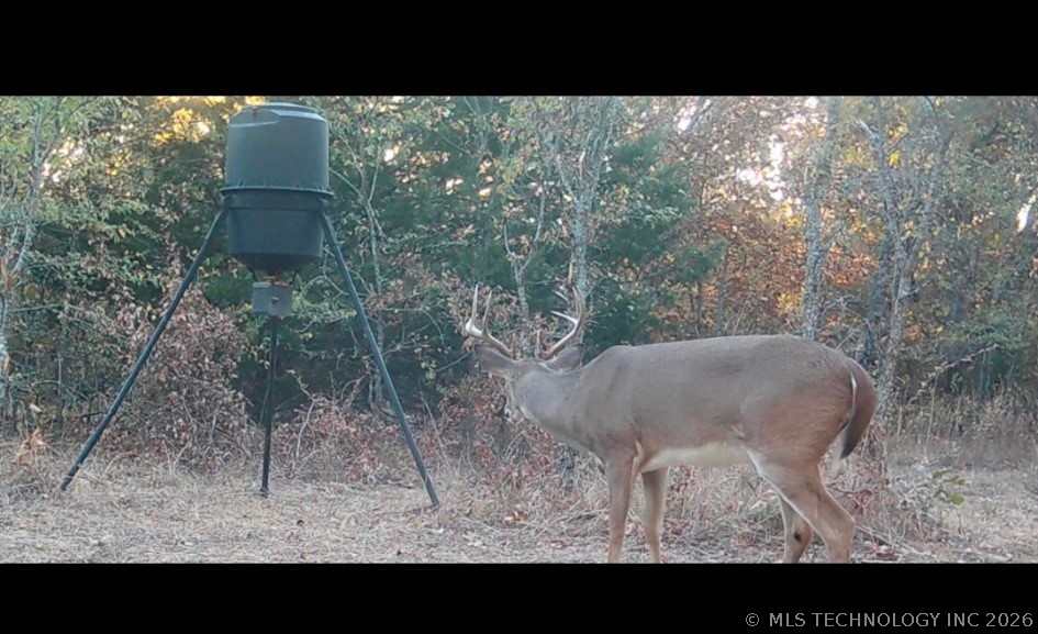 Fig Road Property Photo 67