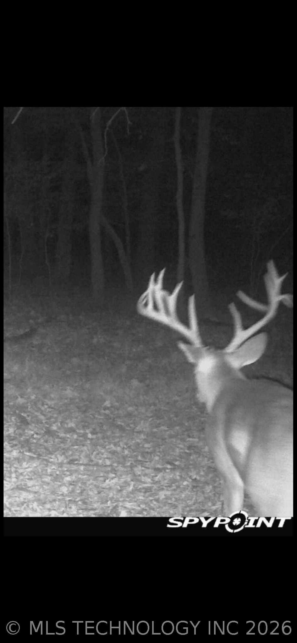 Fig Road Property Photo 68