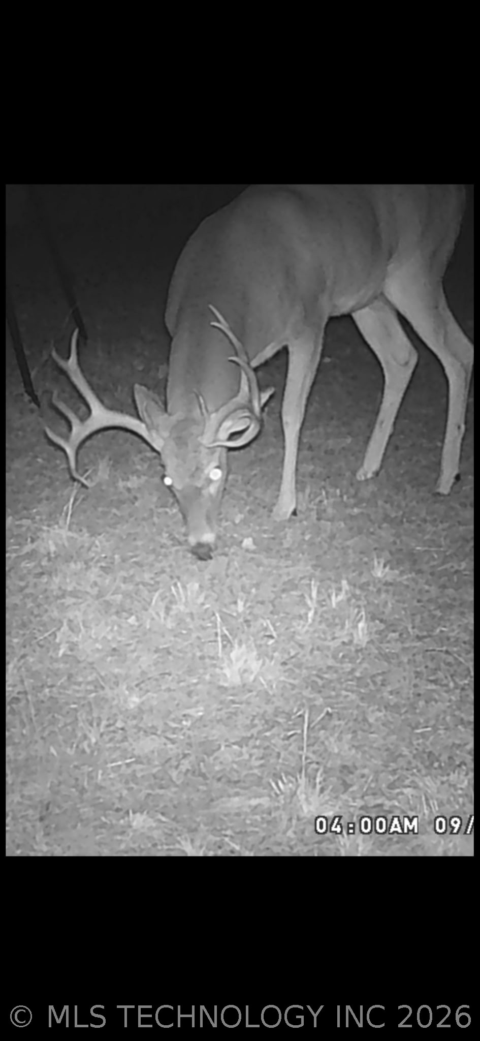 Fig Road Property Photo 69