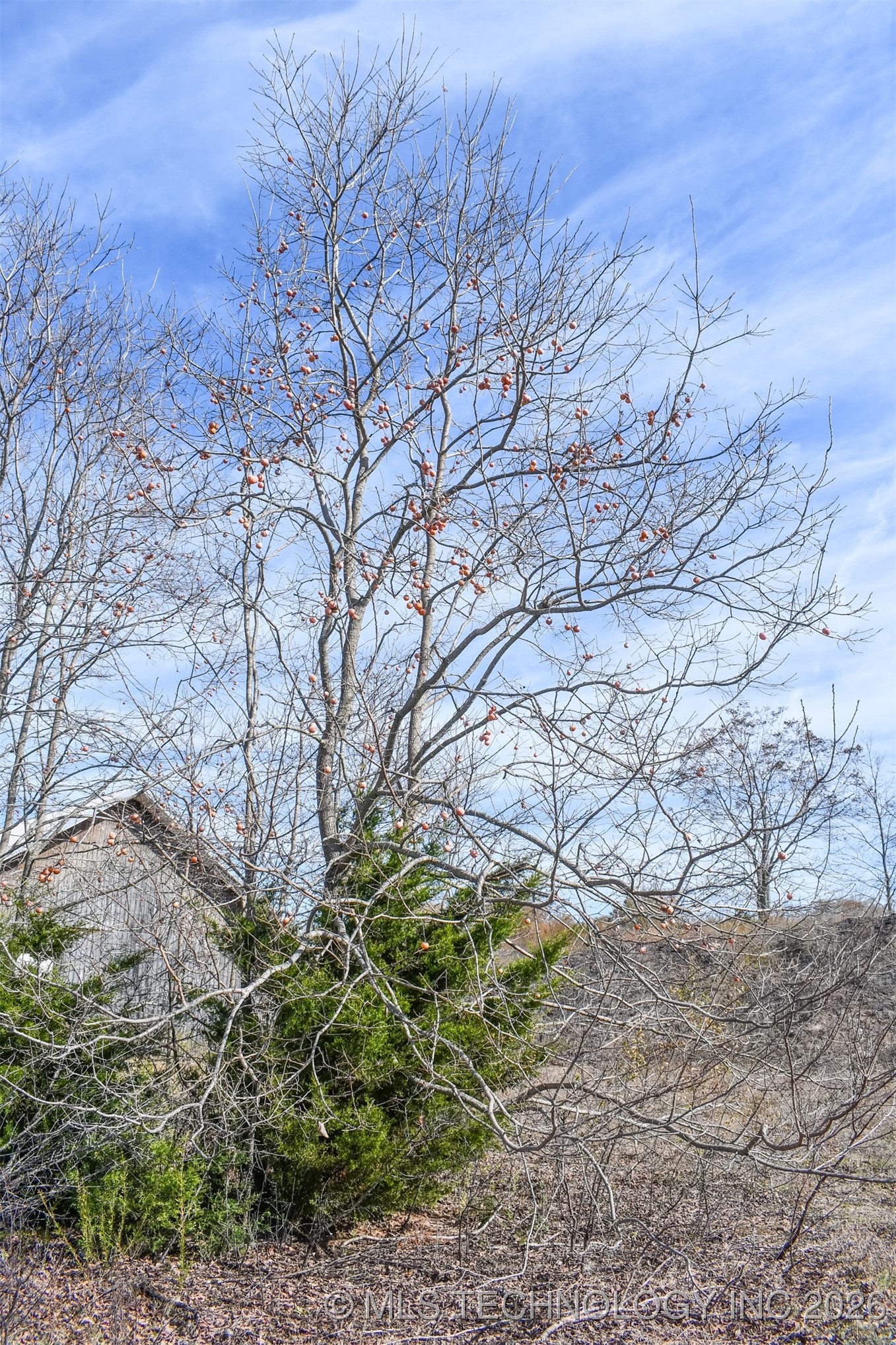 N Tamaha Property Photo 9