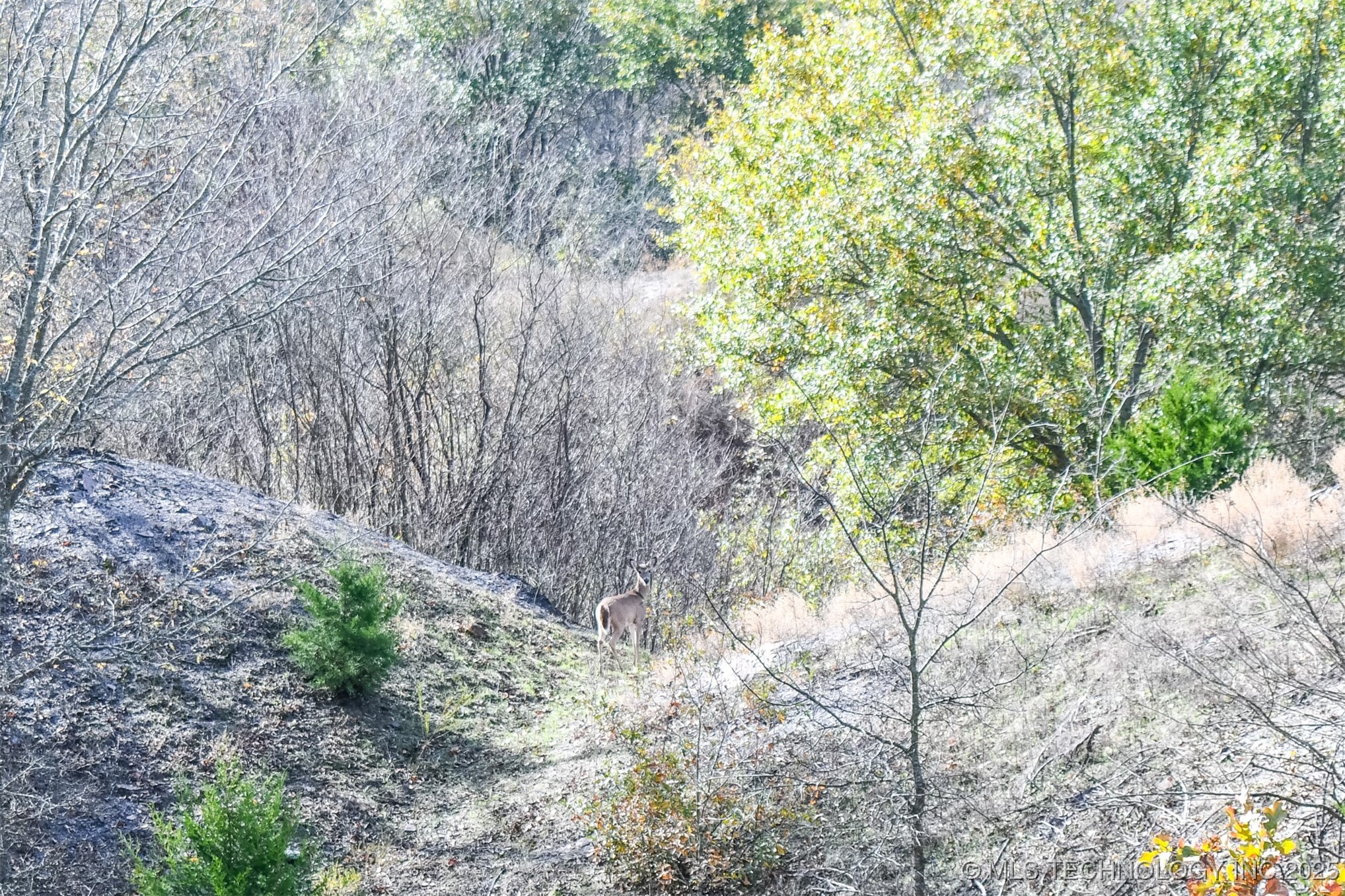 N Tamaha Property Photo 13