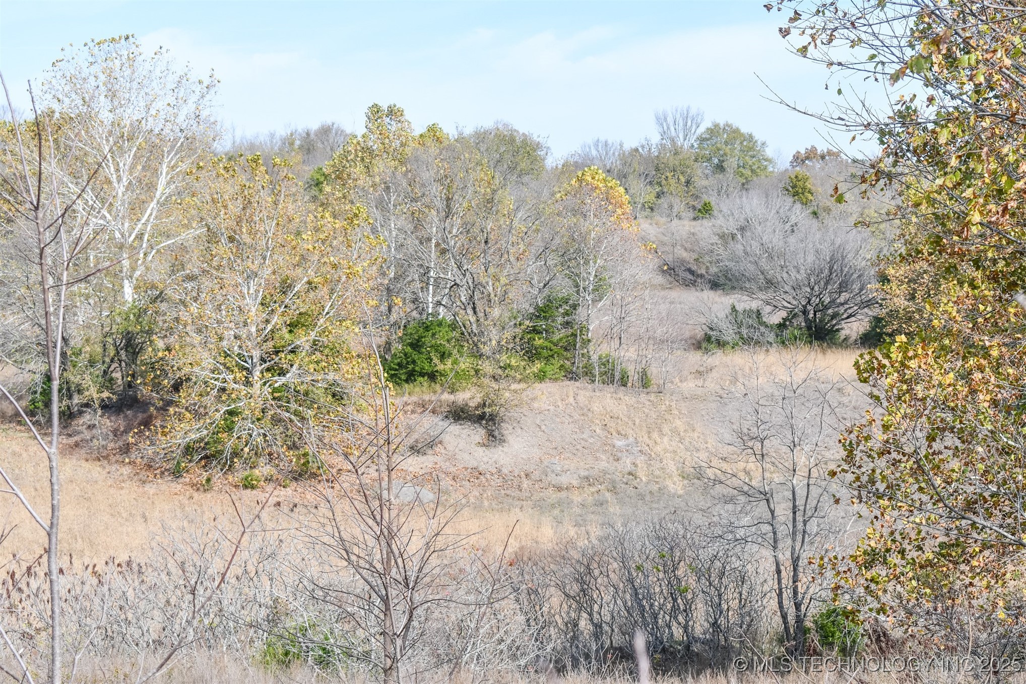 N Tamaha Property Photo 15