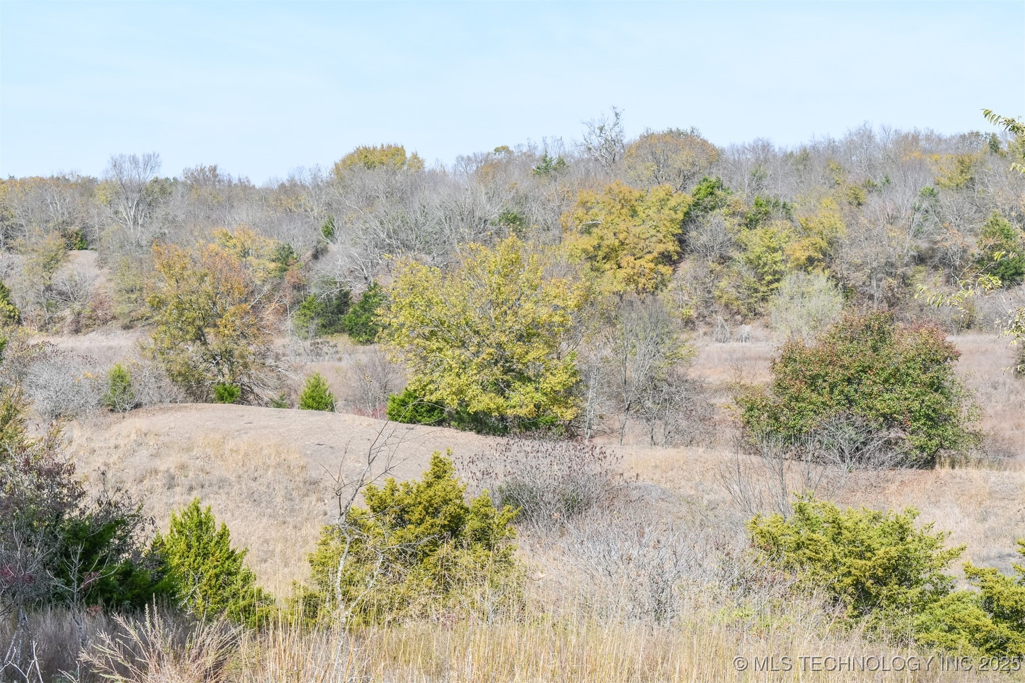 N Tamaha Property Photo 16