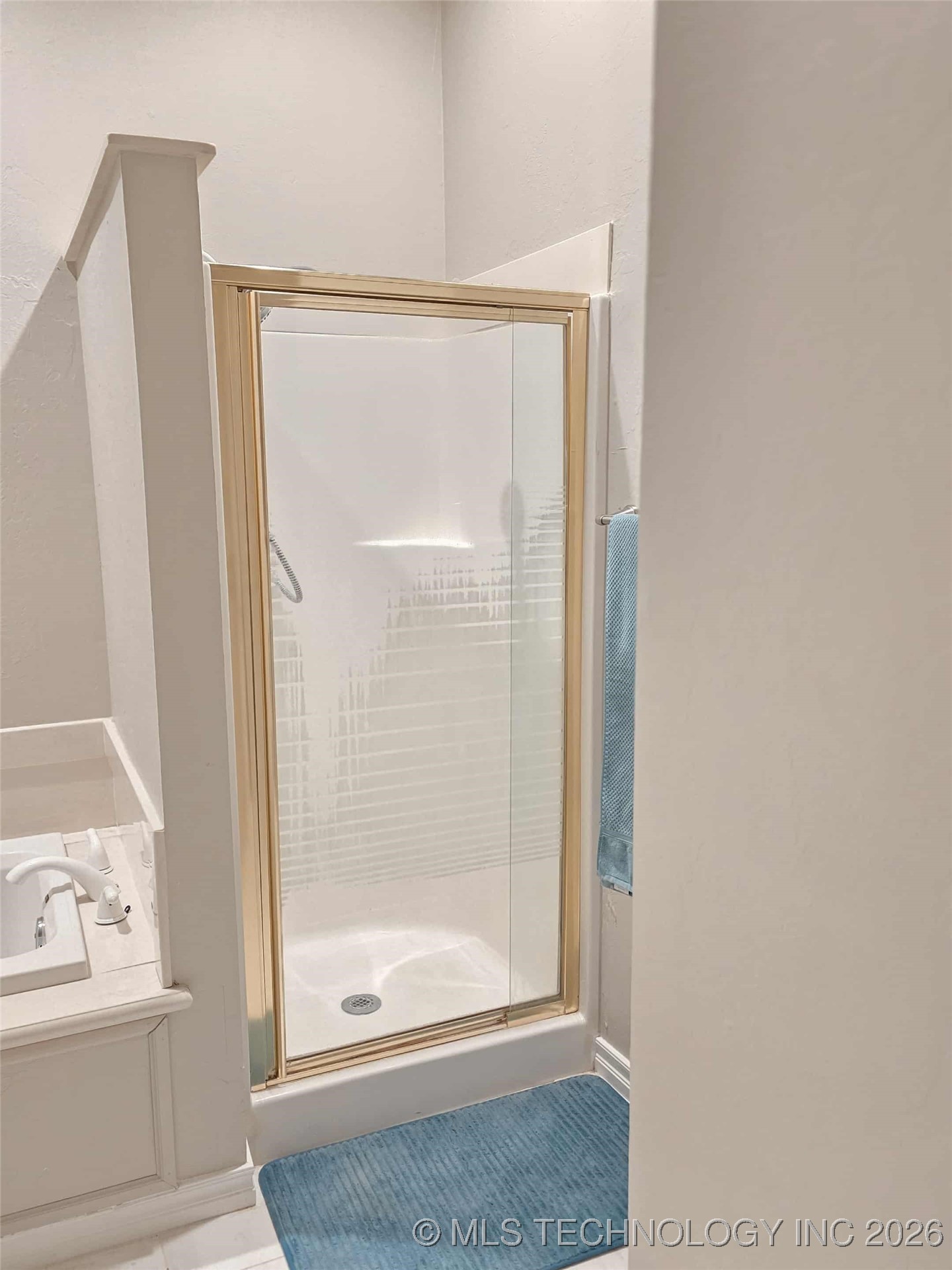 424 Blue Spruce Property Photo 28