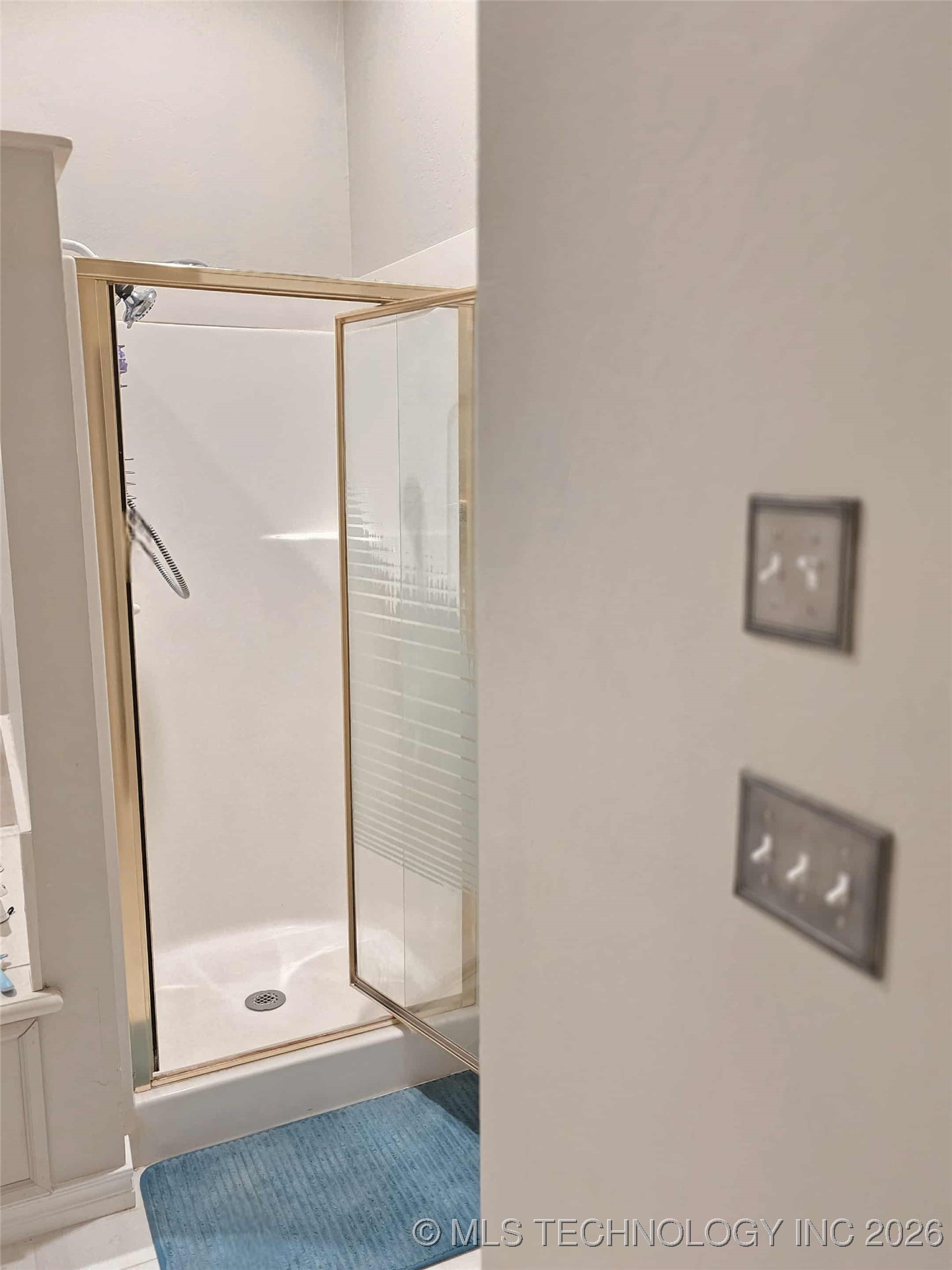 424 Blue Spruce Property Photo 30