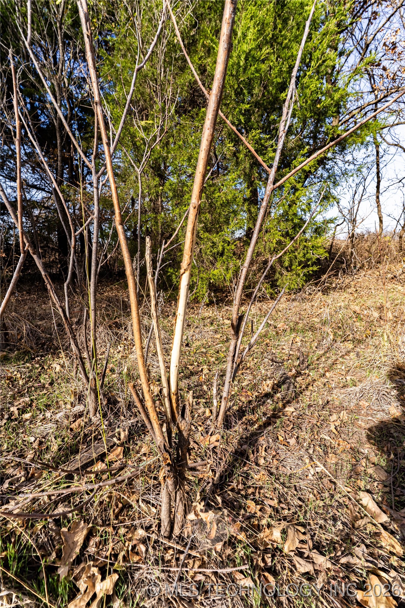 000 E 760 Road Property Photo 24