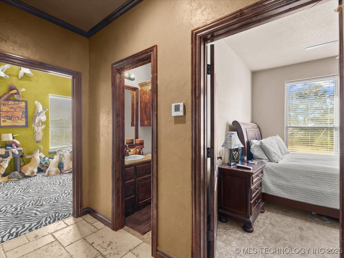 555 White Chimney Property Photo 29