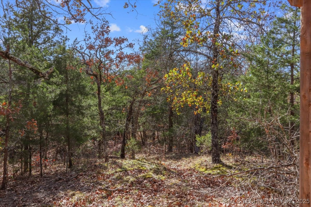 555 White Chimney Property Photo 43