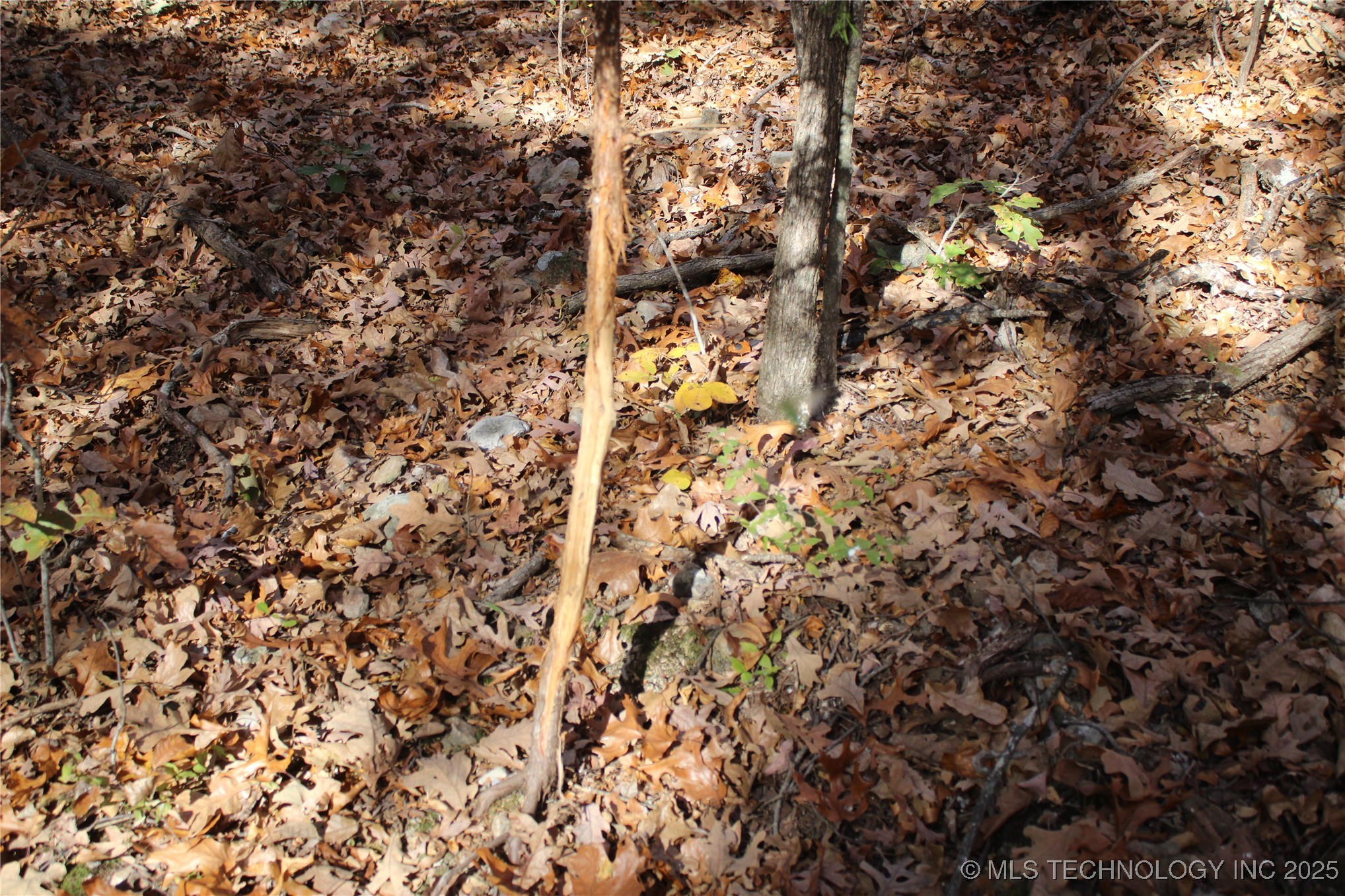 18101 S 641 Road Property Photo 30