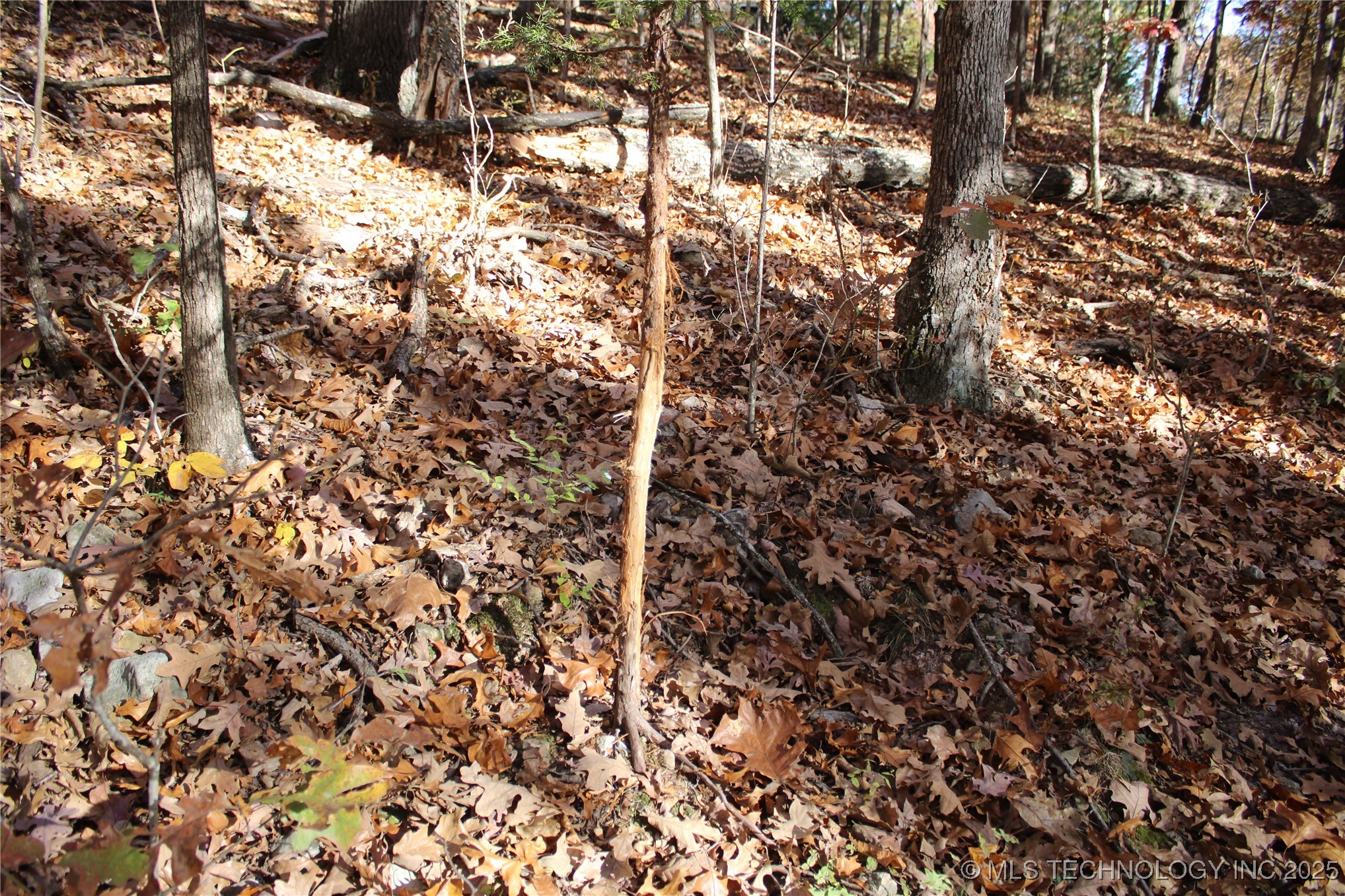 18101 S 641 Road Property Photo 31