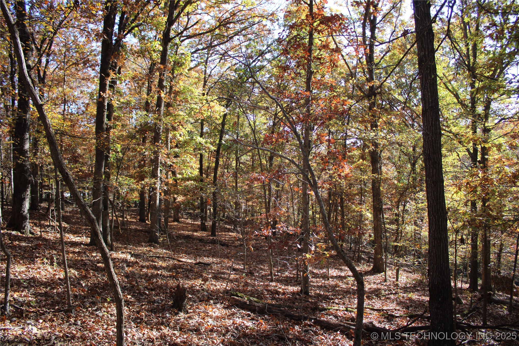 18101 S 641 Road Property Photo 32