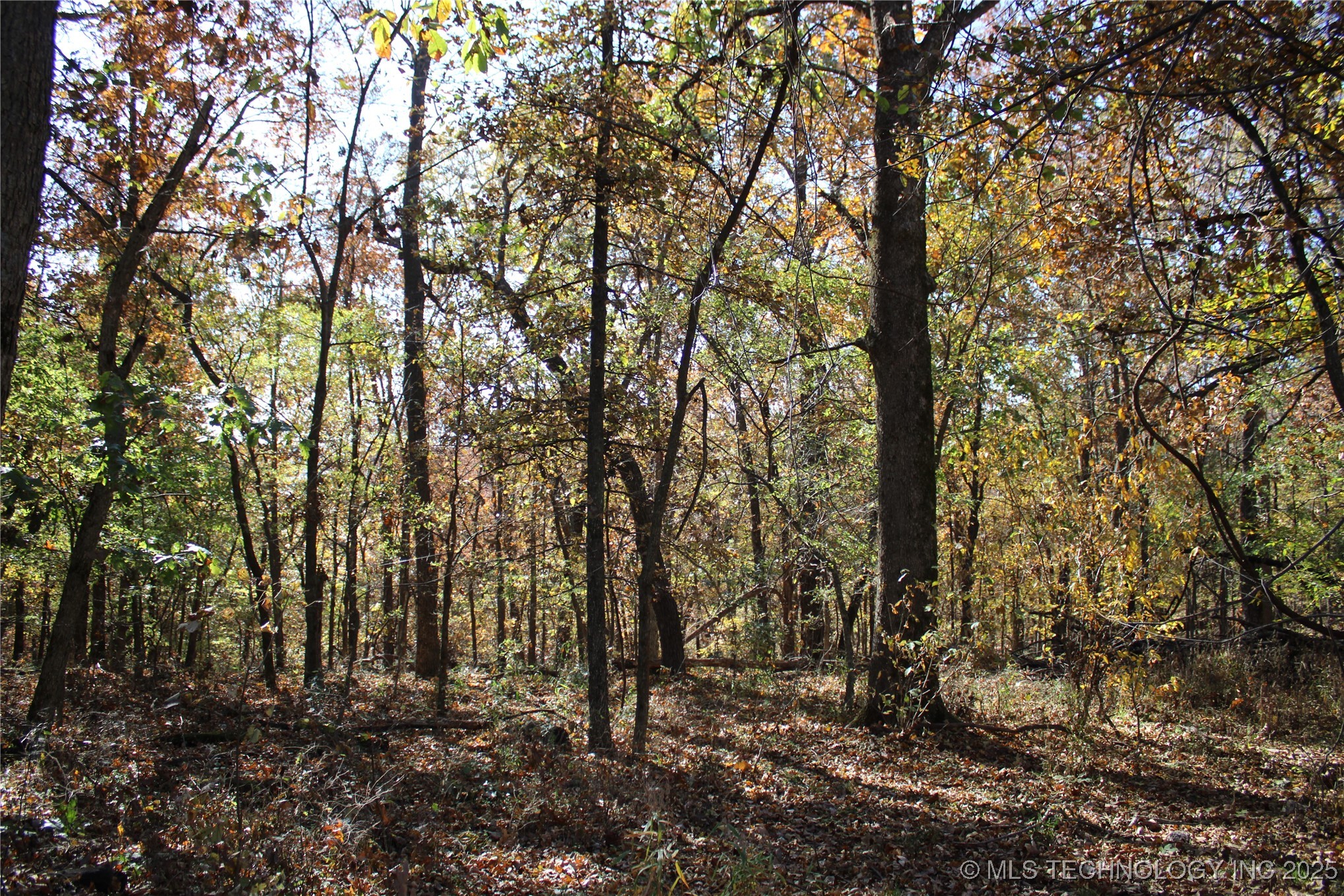 18101 S 641 Road Property Photo 36