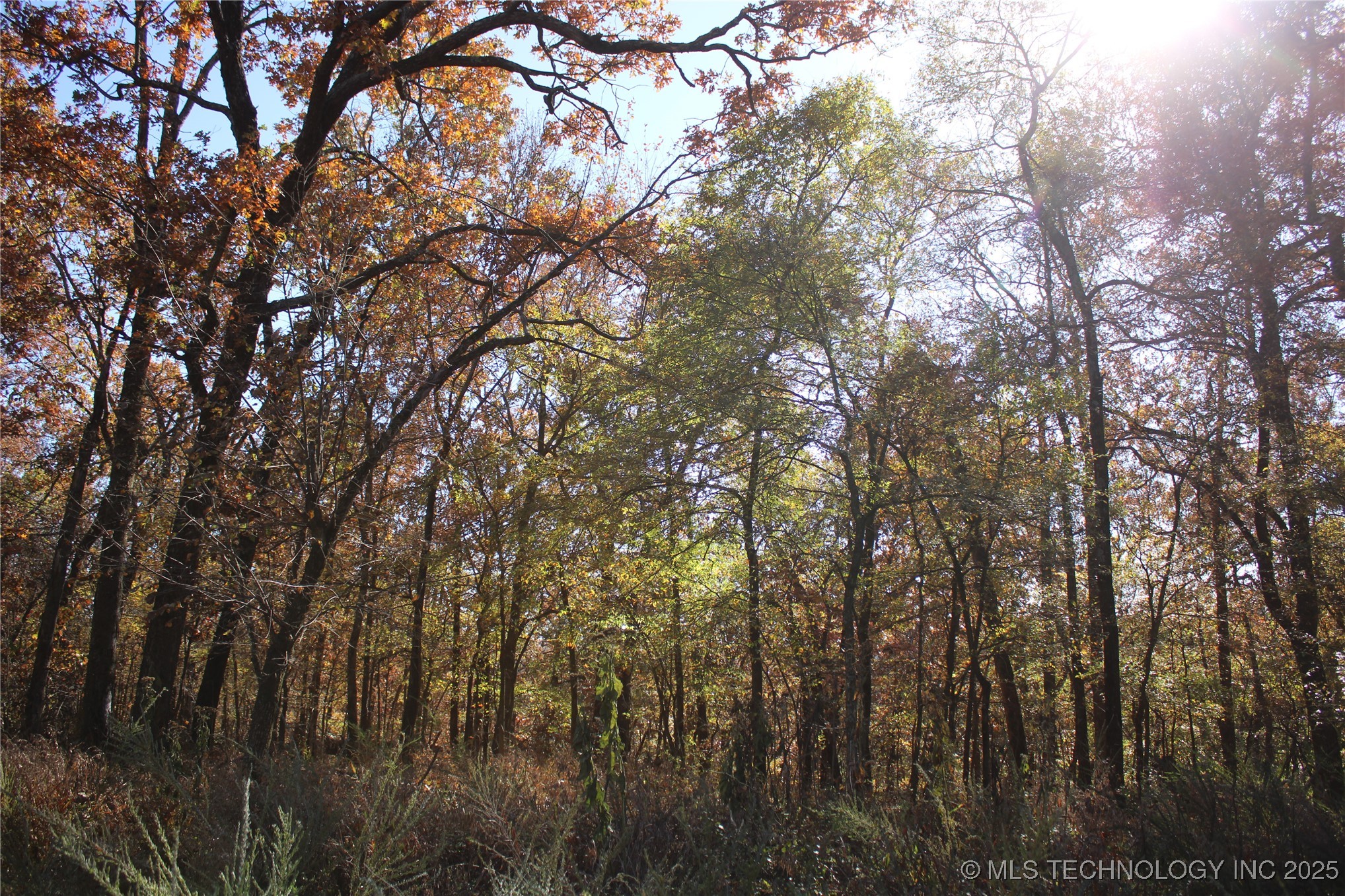 18101 S 641 Road Property Photo 37