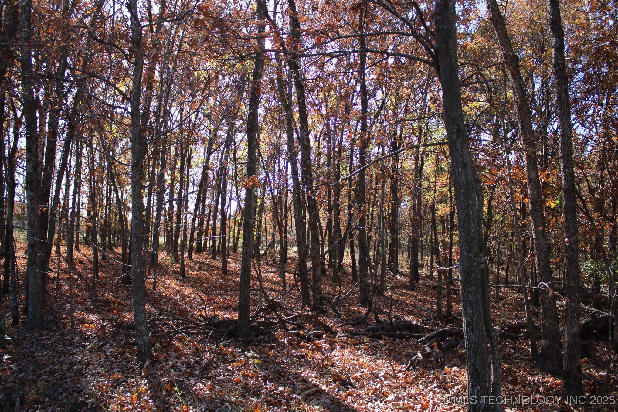 18101 S 641 Road Property Photo 39