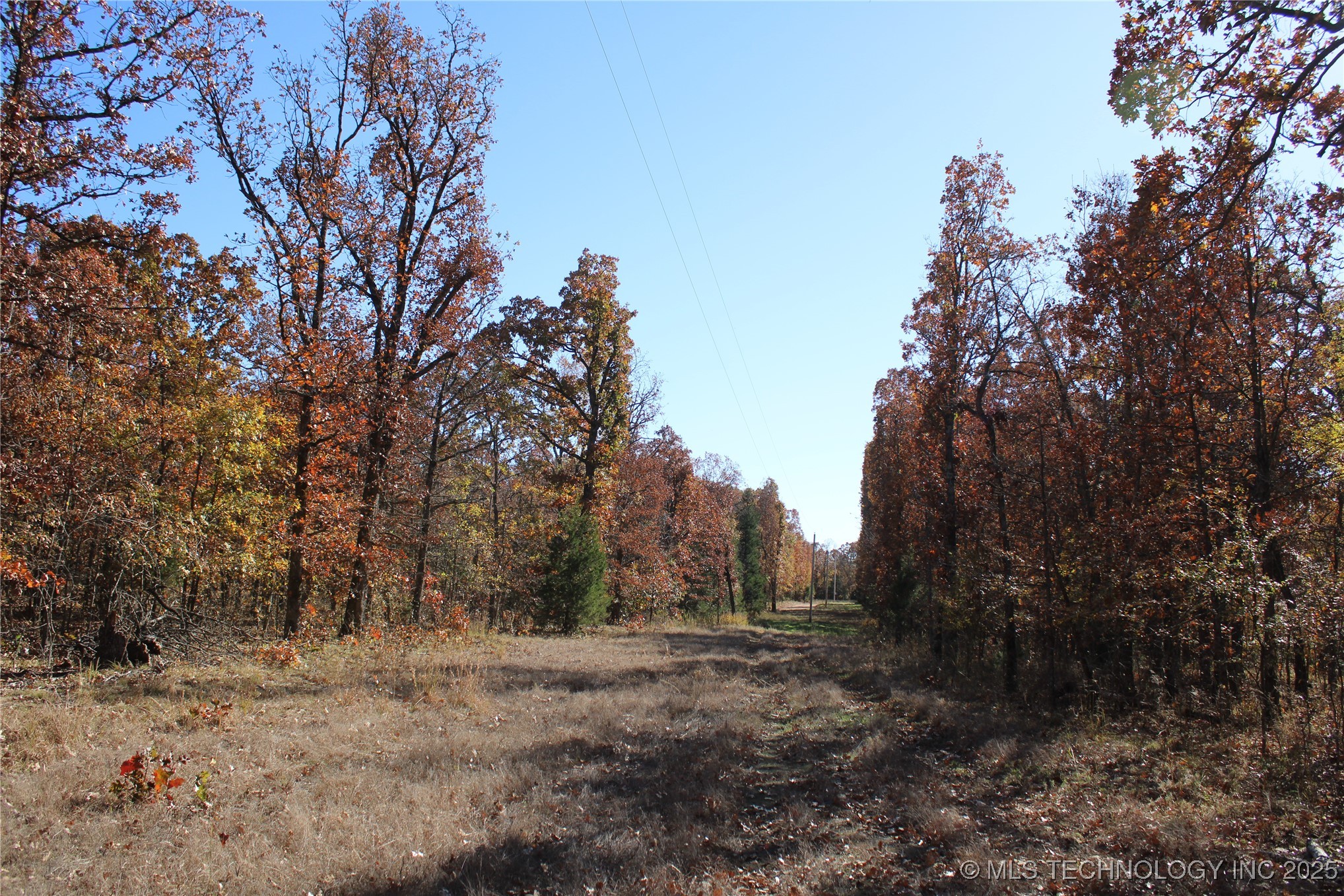 18101 S 641 Road Property Photo 40