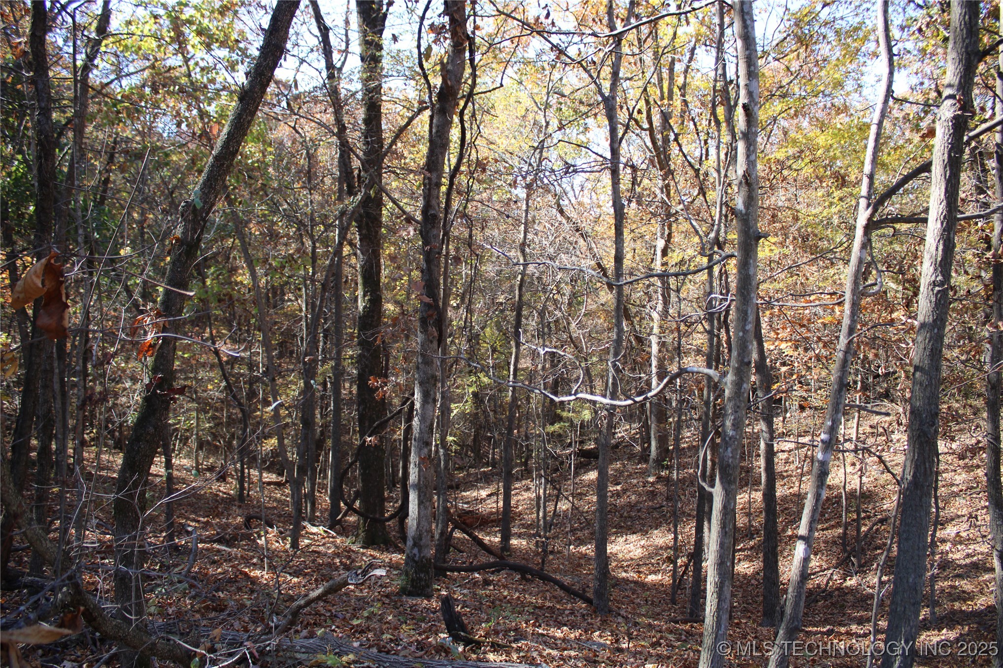 18101 S 641 Road Property Photo 41