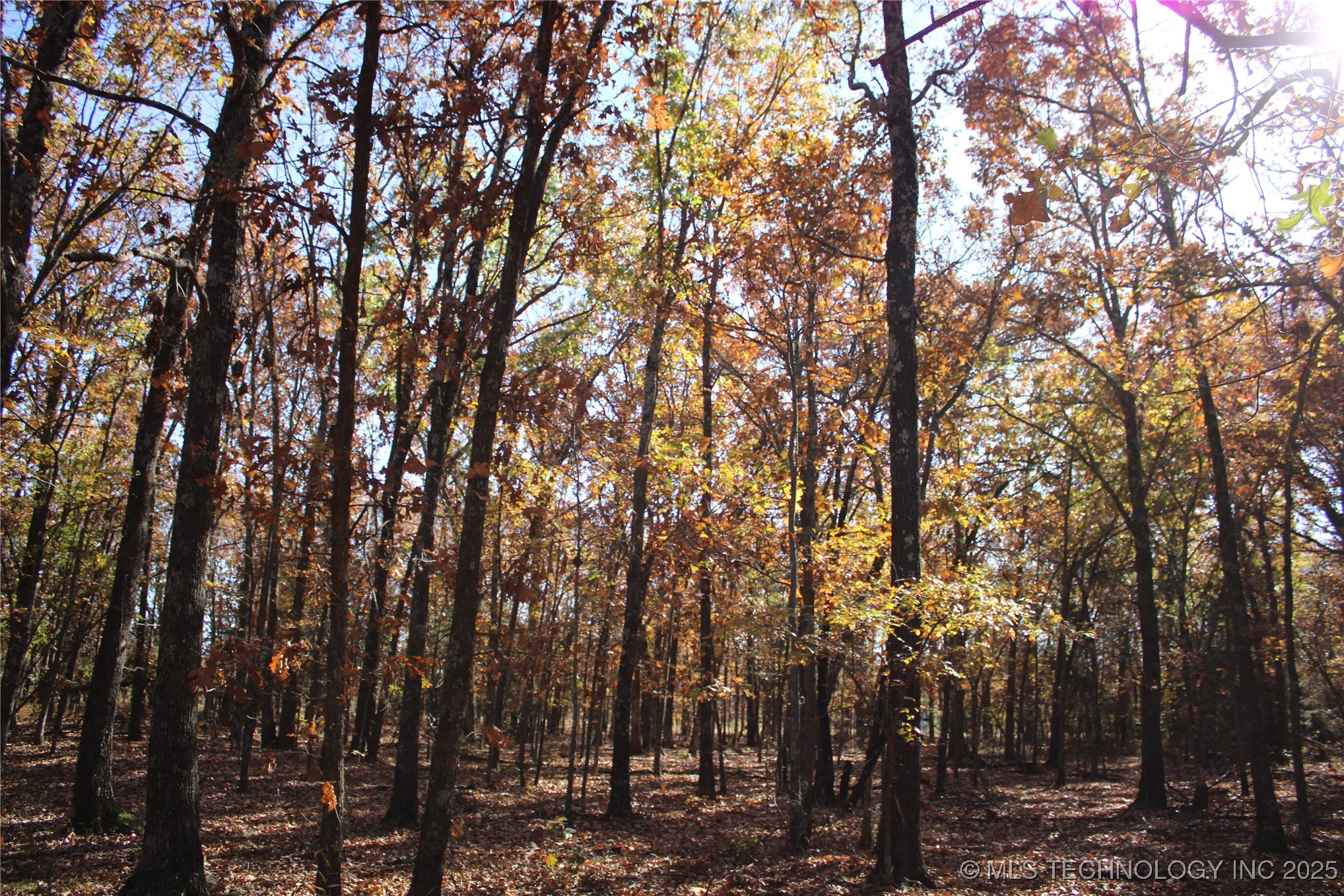 18101 S 641 Road Property Photo 42