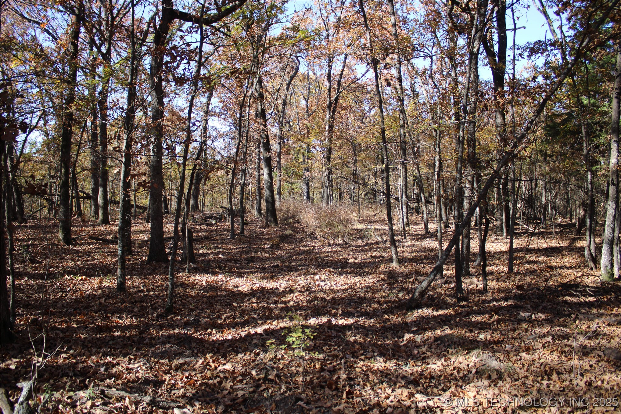 18101 S 641 Road Property Photo 43