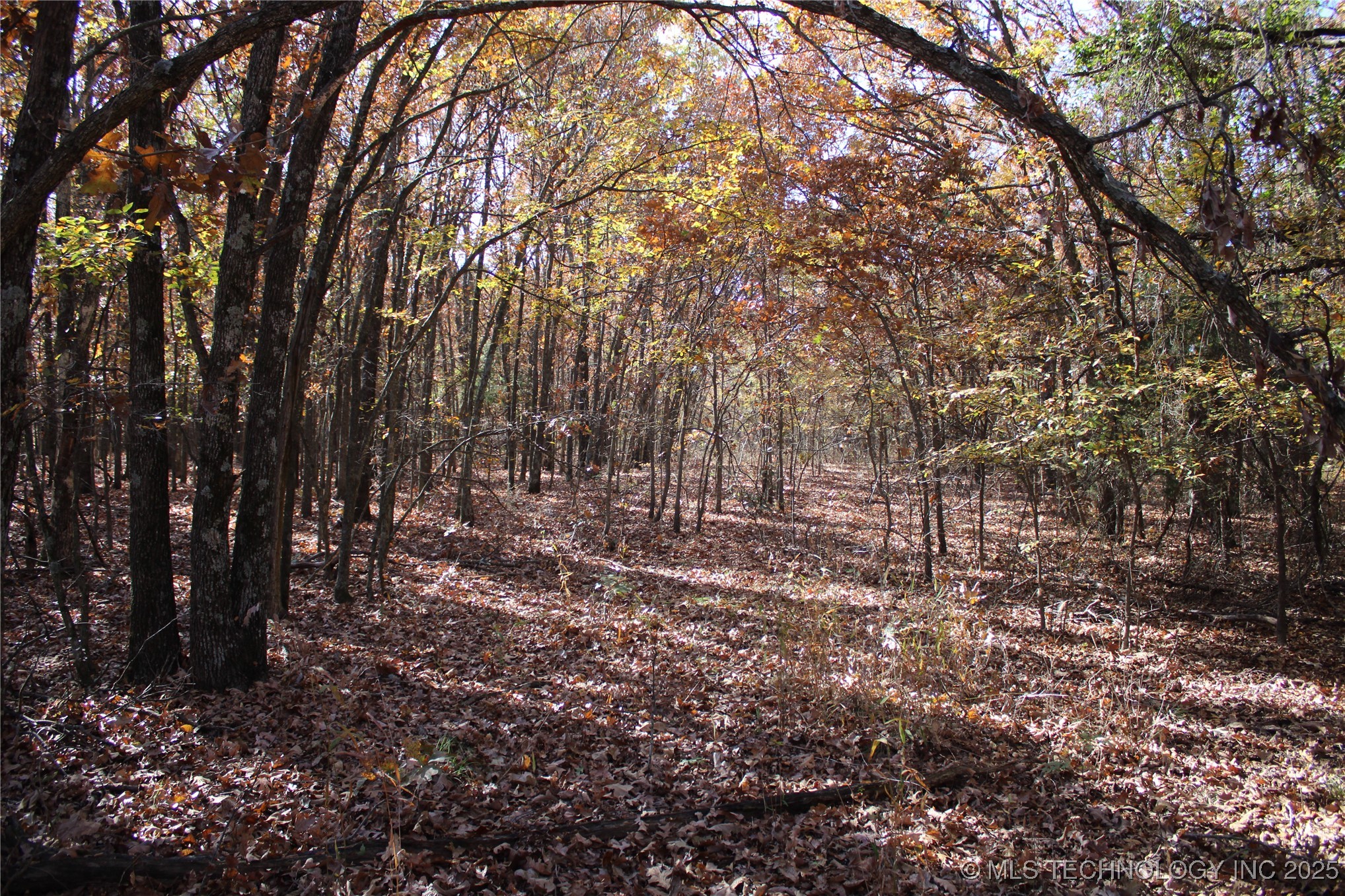 18101 S 641 Road Property Photo 44