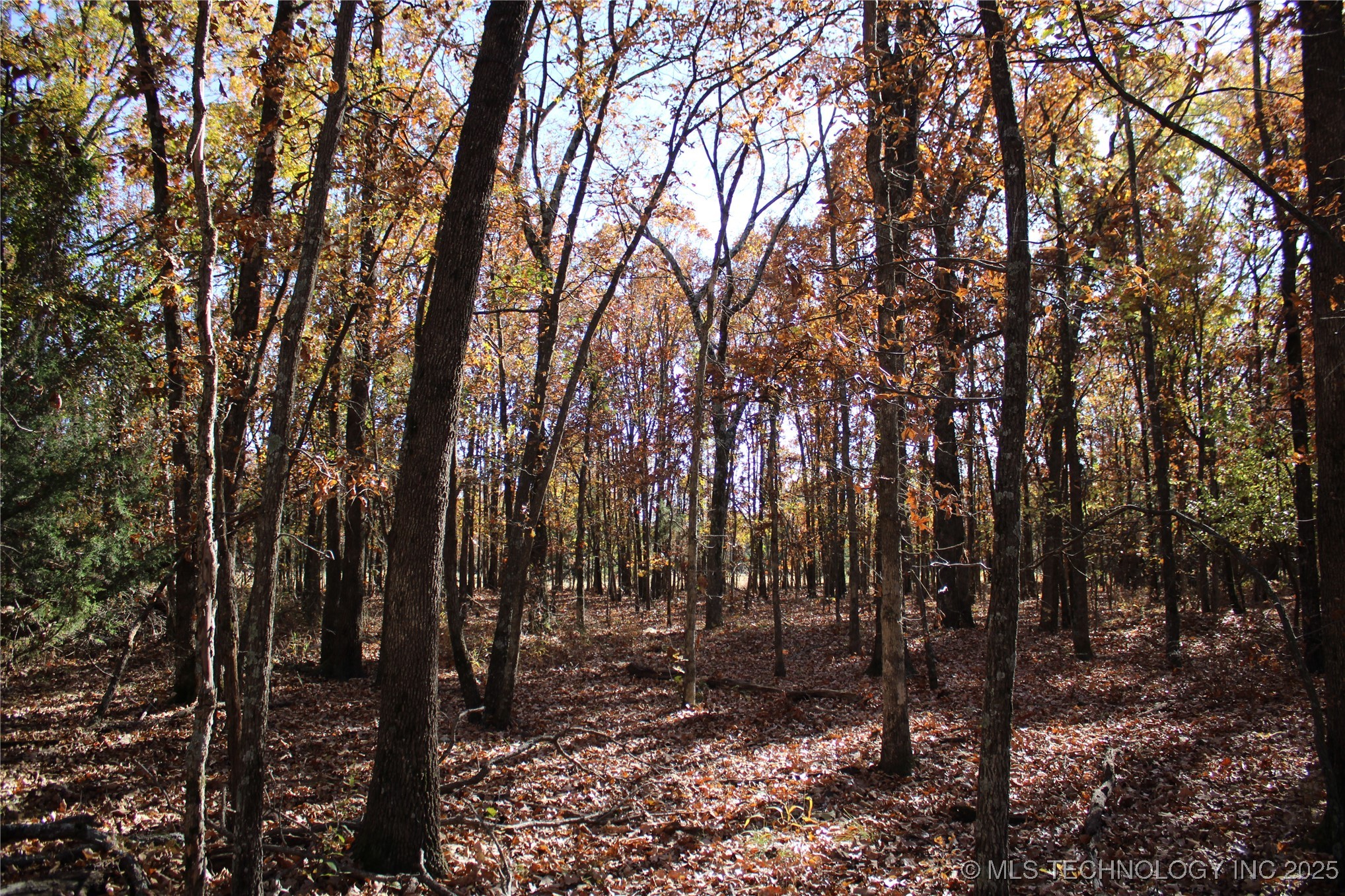 18101 S 641 Road Property Photo 45