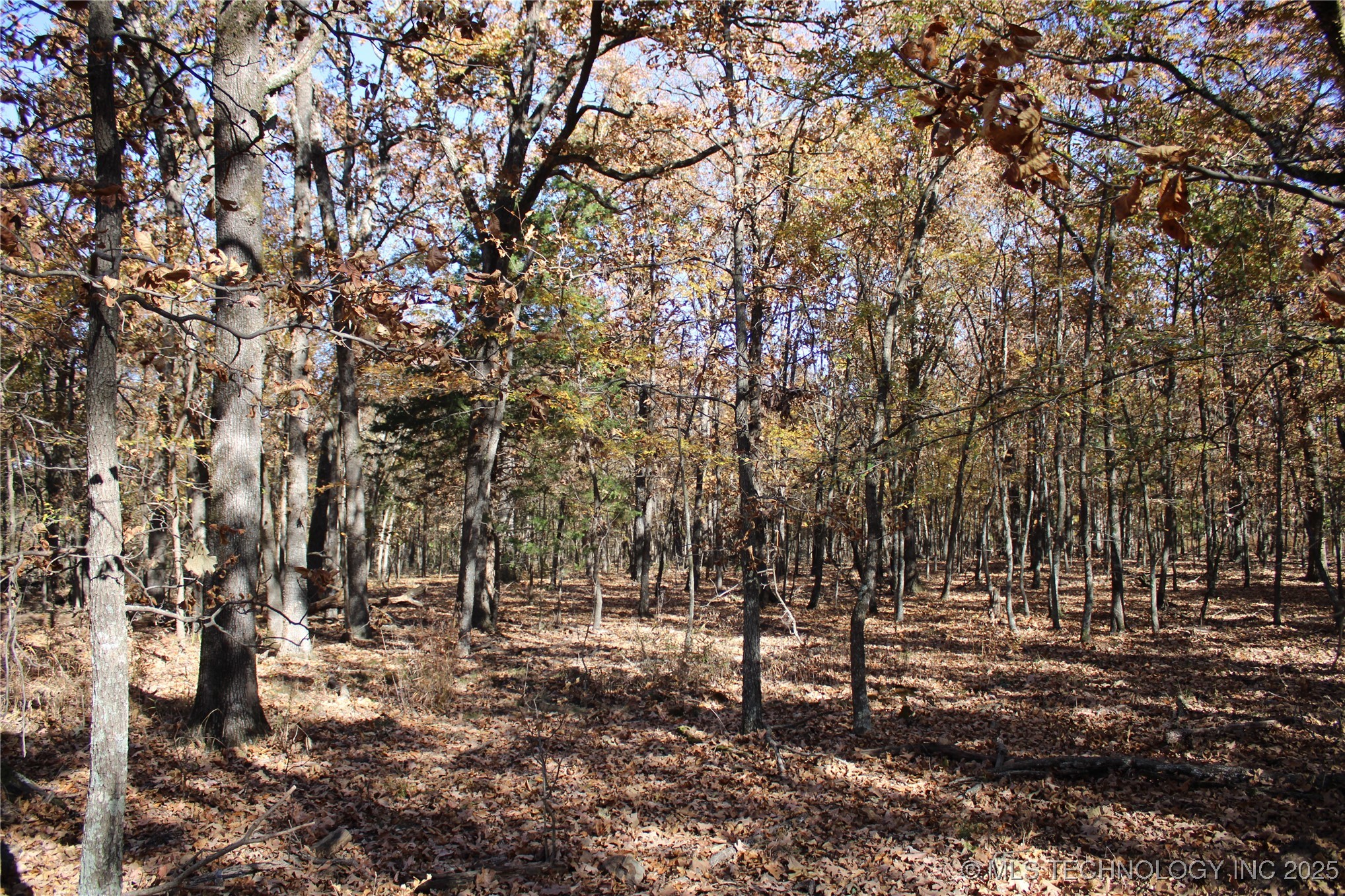 18101 S 641 Road Property Photo 46