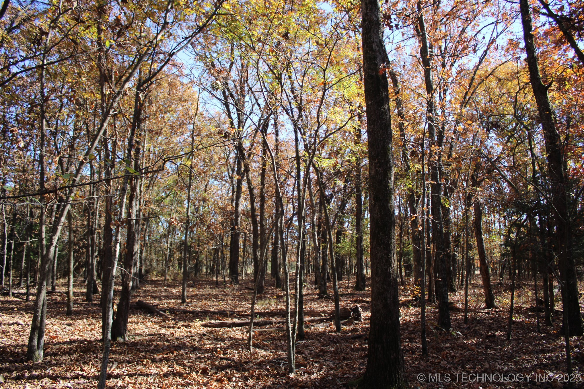 18101 S 641 Road Property Photo 47