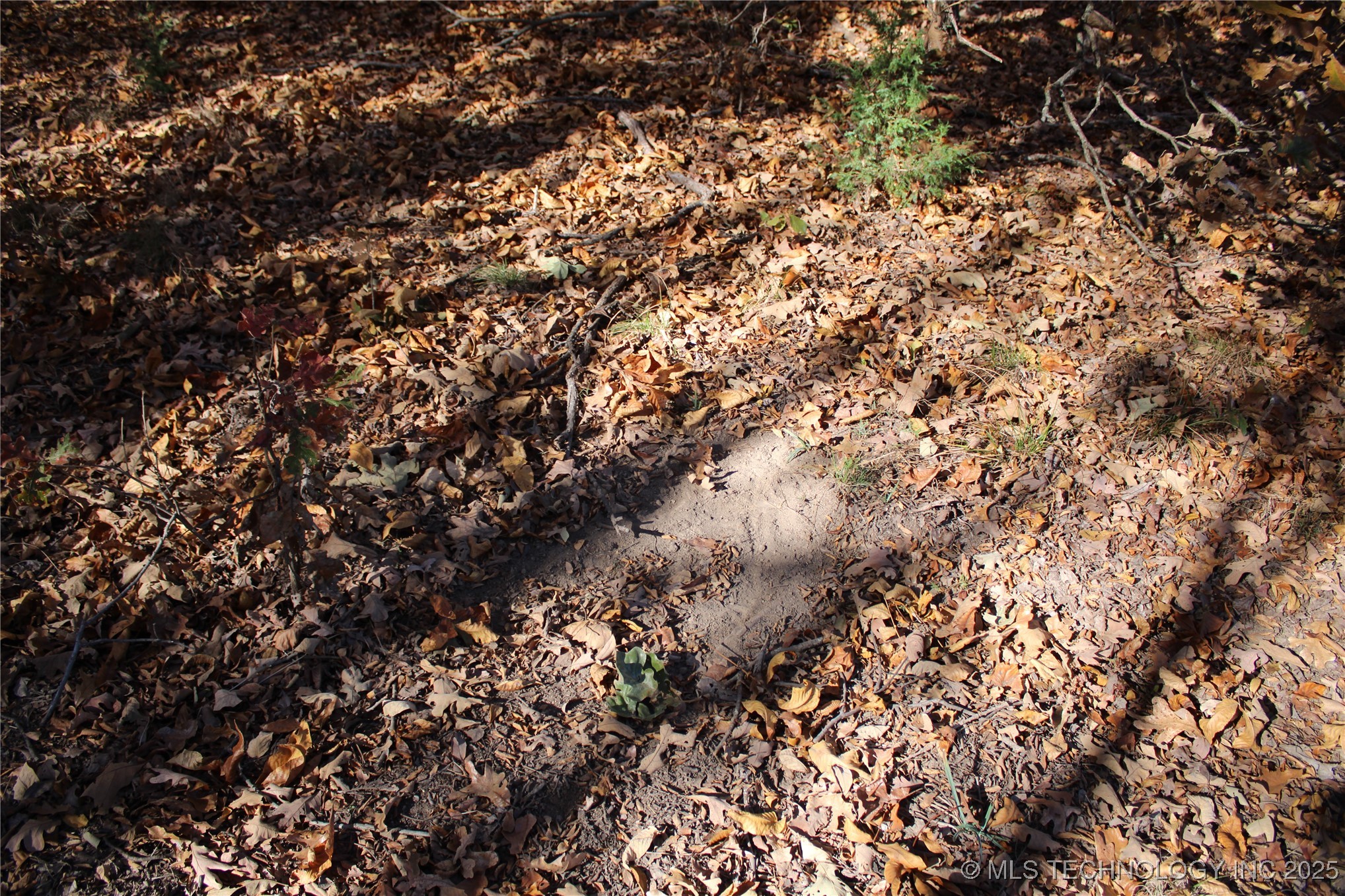 18101 S 641 Road Property Photo 48