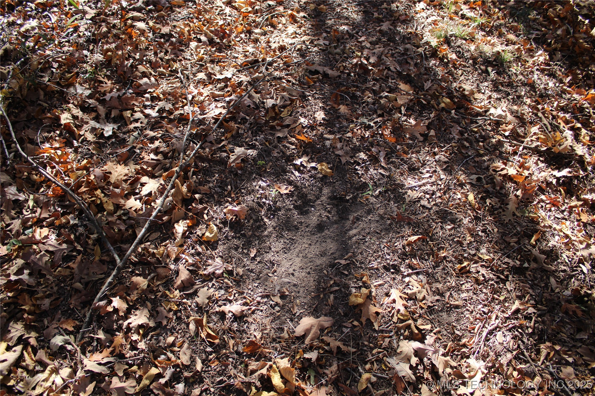 18101 S 641 Road Property Photo 49