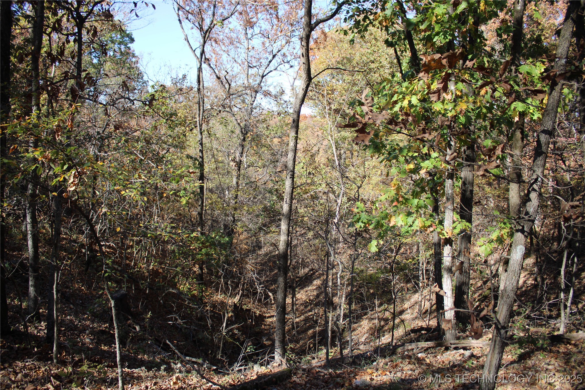 18101 S 641 Road Property Photo 50