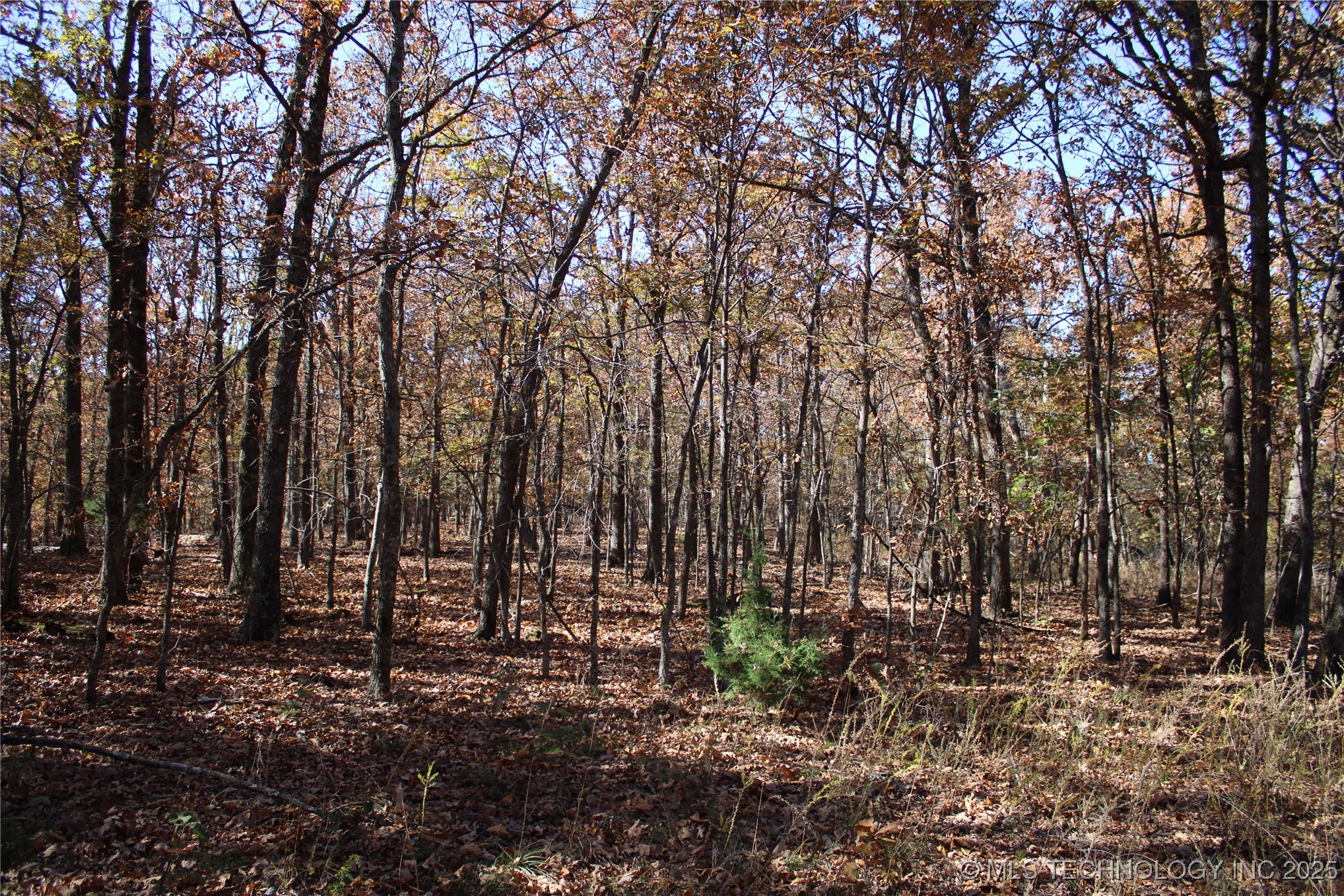 18101 S 641 Road Property Photo 51