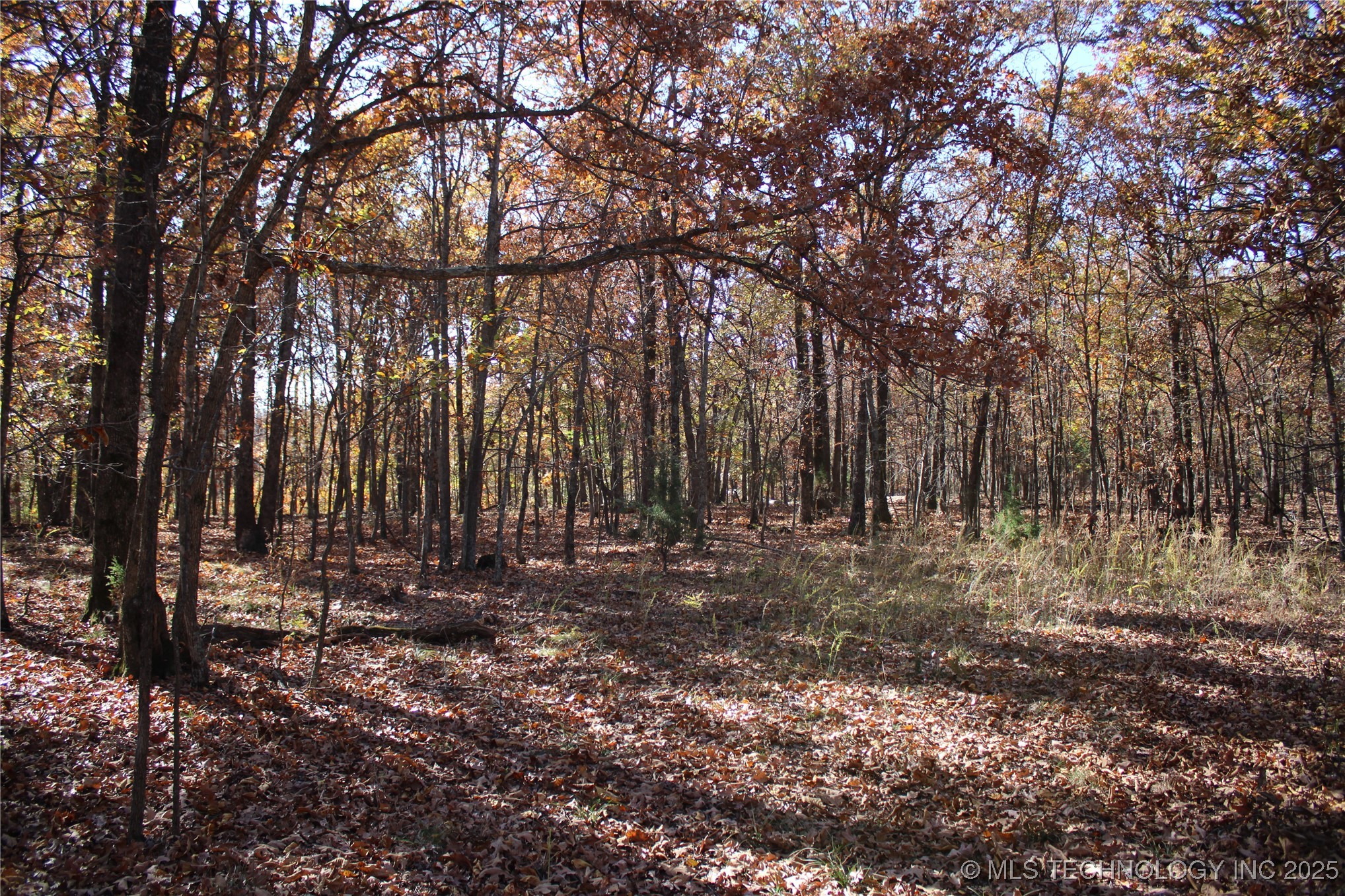 18101 S 641 Road Property Photo 52