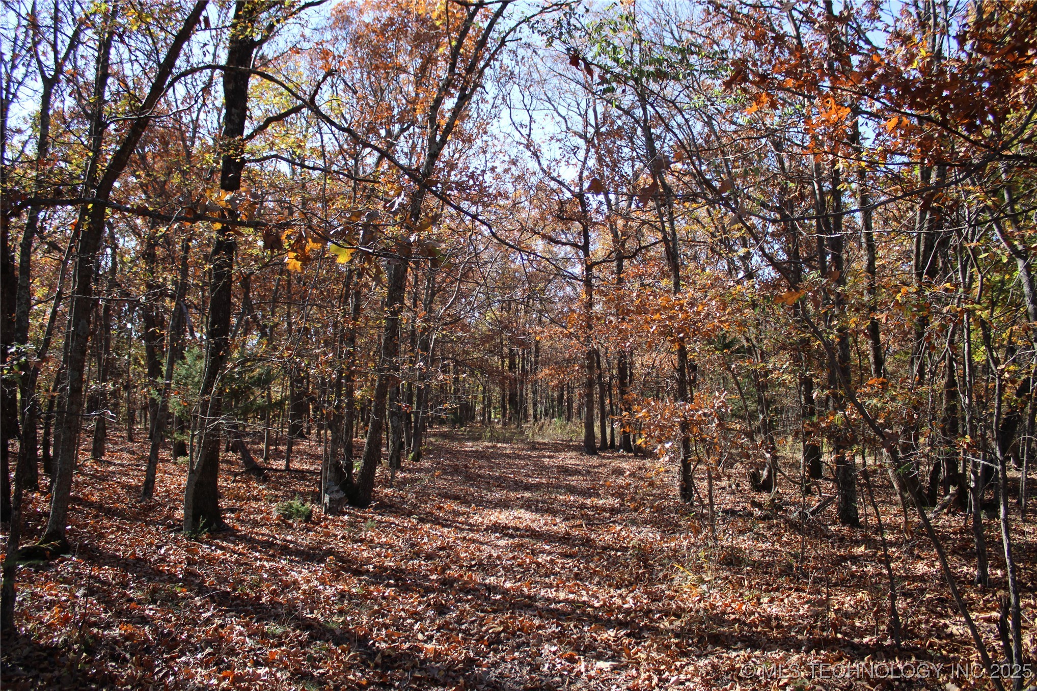 18101 S 641 Road Property Photo 53