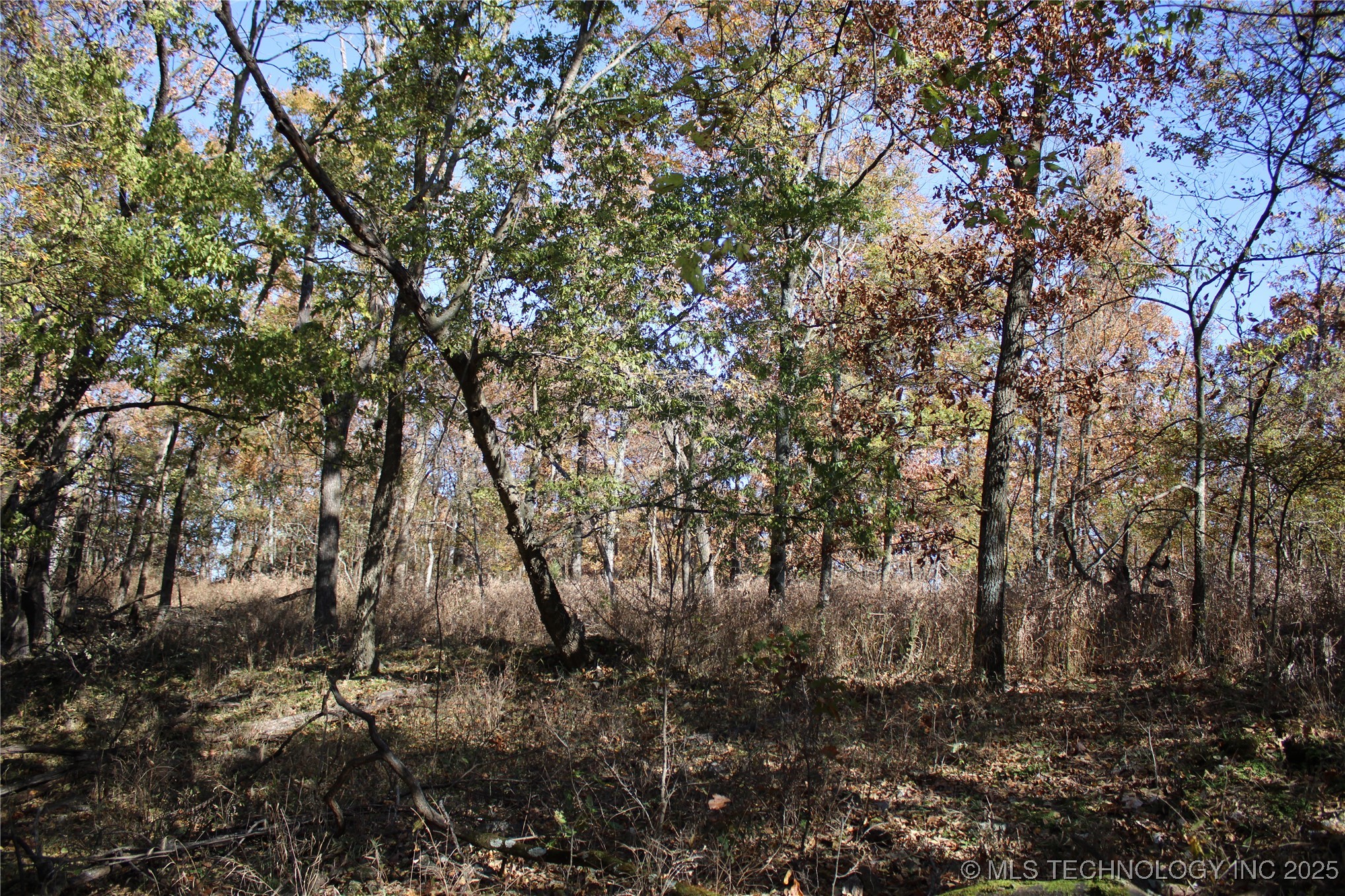 18101 S 641 Road Property Photo 56