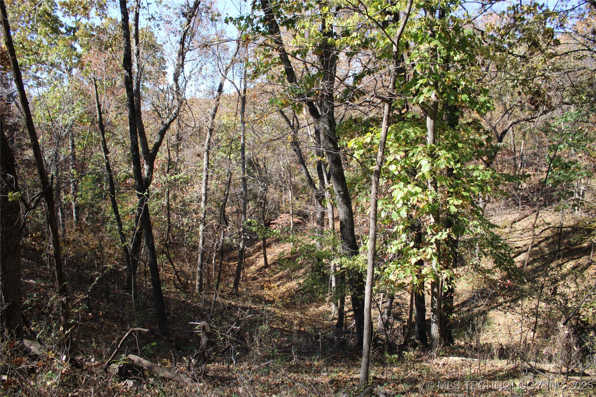 18101 S 641 Road Property Photo 57