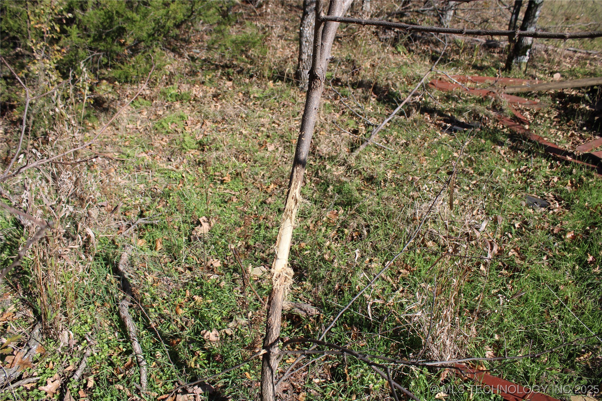 18101 S 641 Road Property Photo 58