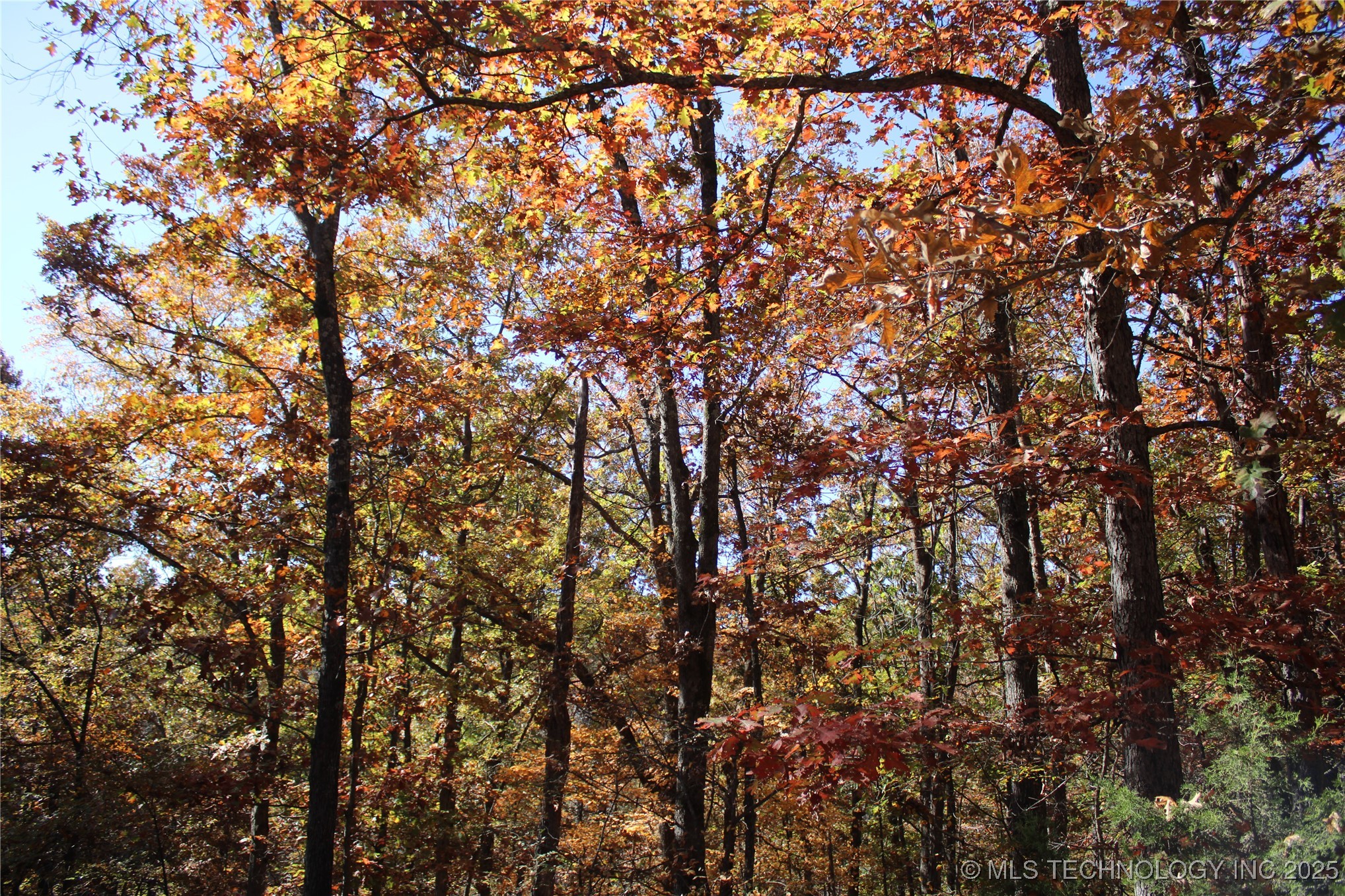 18101 S 641 Road Property Photo 61