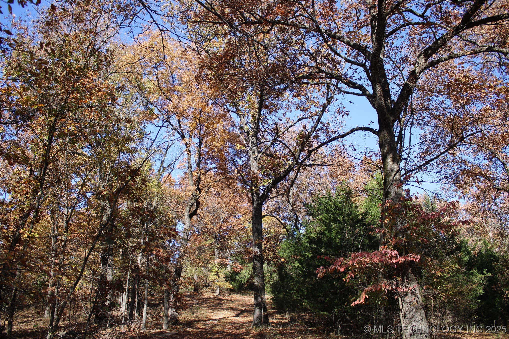 18101 S 641 Road Property Photo 62