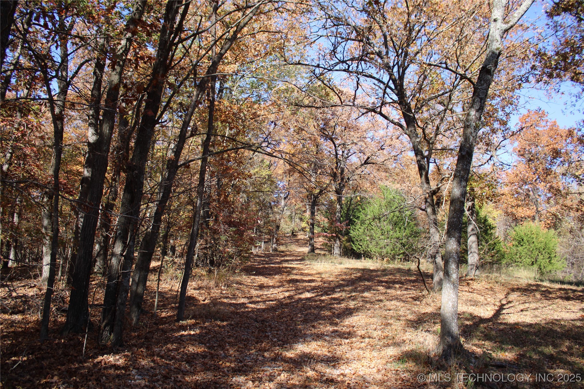 18101 S 641 Road Property Photo 63