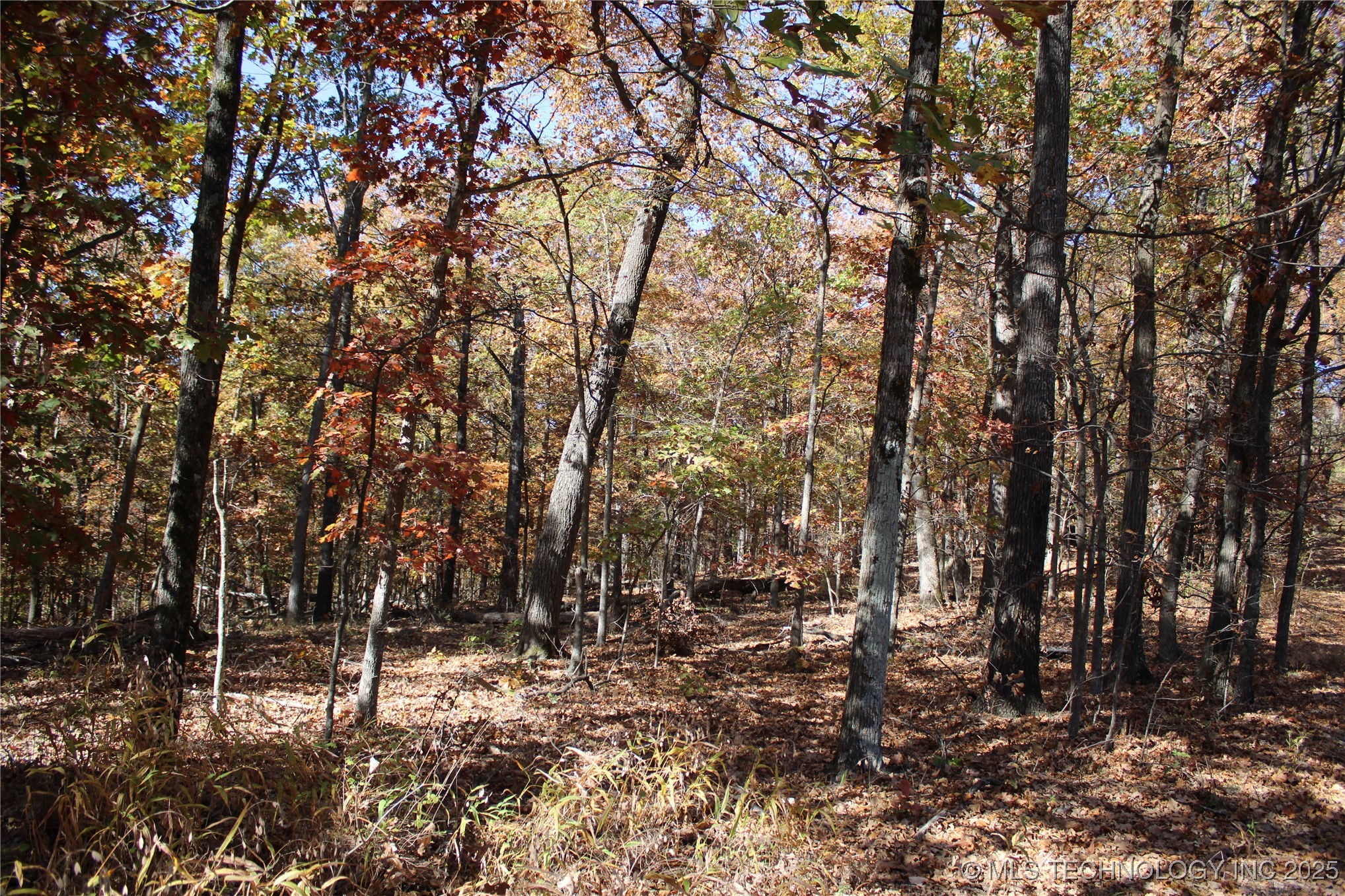 18101 S 641 Road Property Photo 64