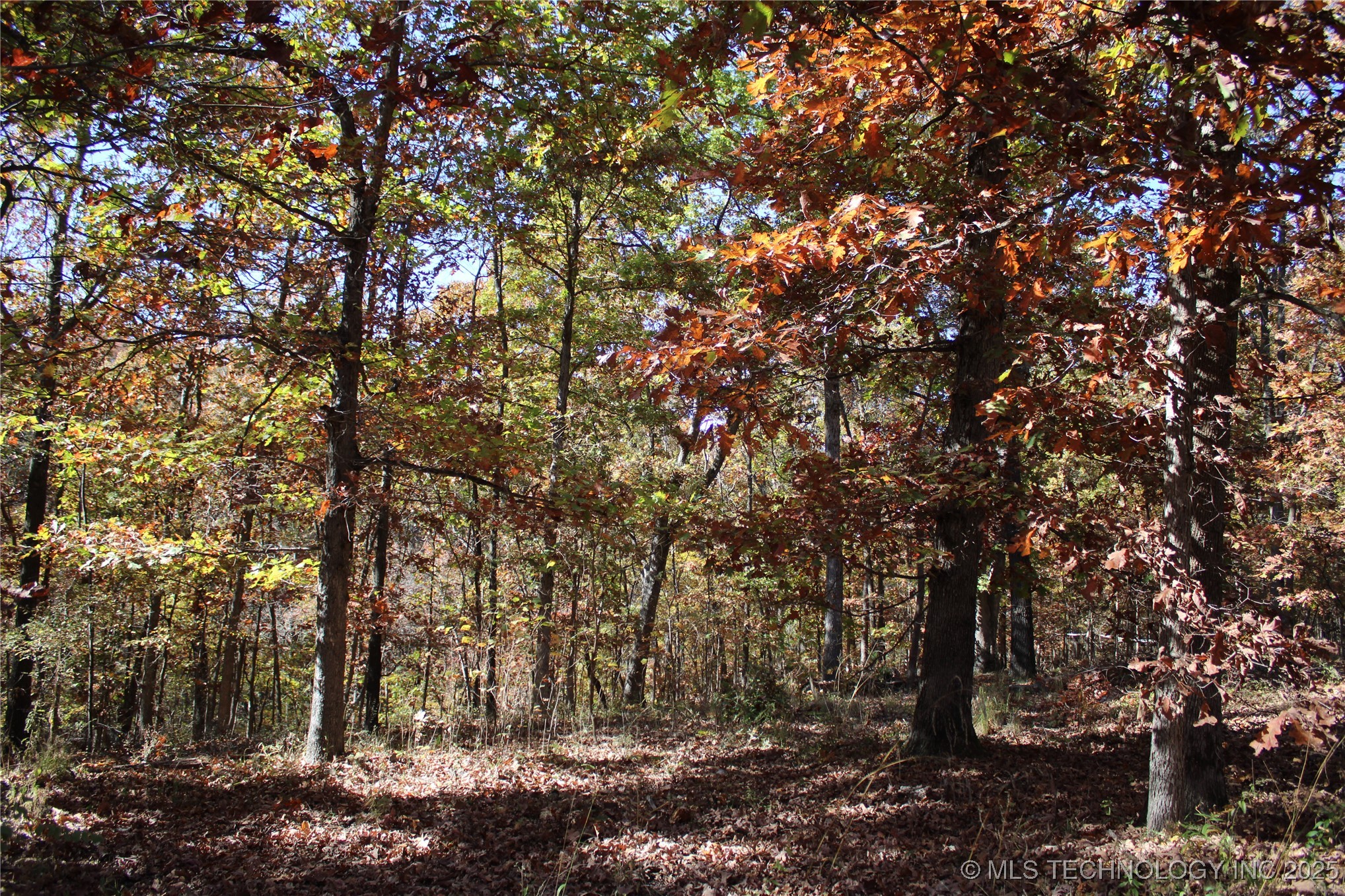 18101 S 641 Road Property Photo 65