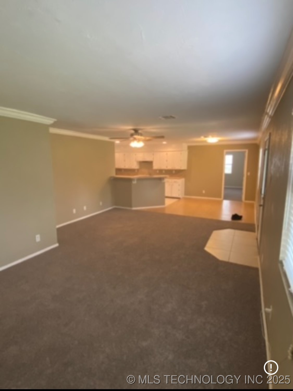 328 Pine Property Photo 4