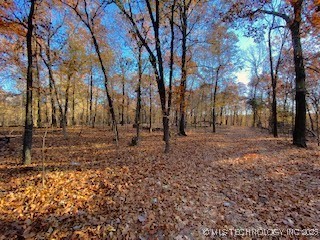 Oakridge Property Photo 3