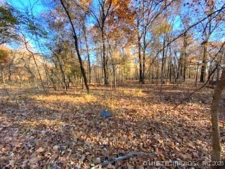 Oakridge Property Photo 4