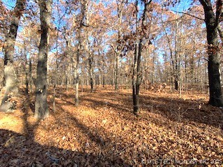 Oakridge Property Photo 5