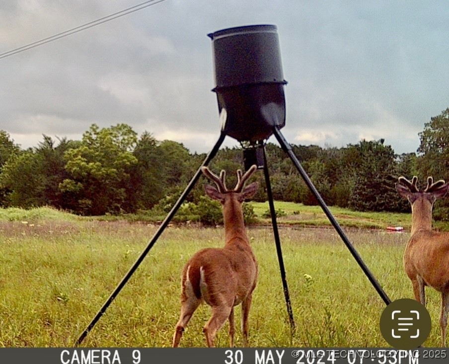 35068 Ew 1390 Road Property Photo 46