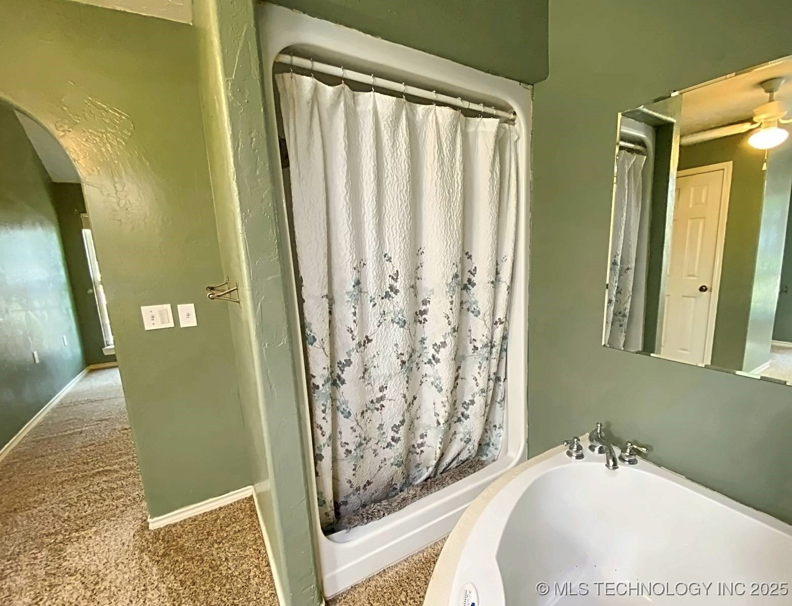 2009 Trailwood Street Property Photo 12