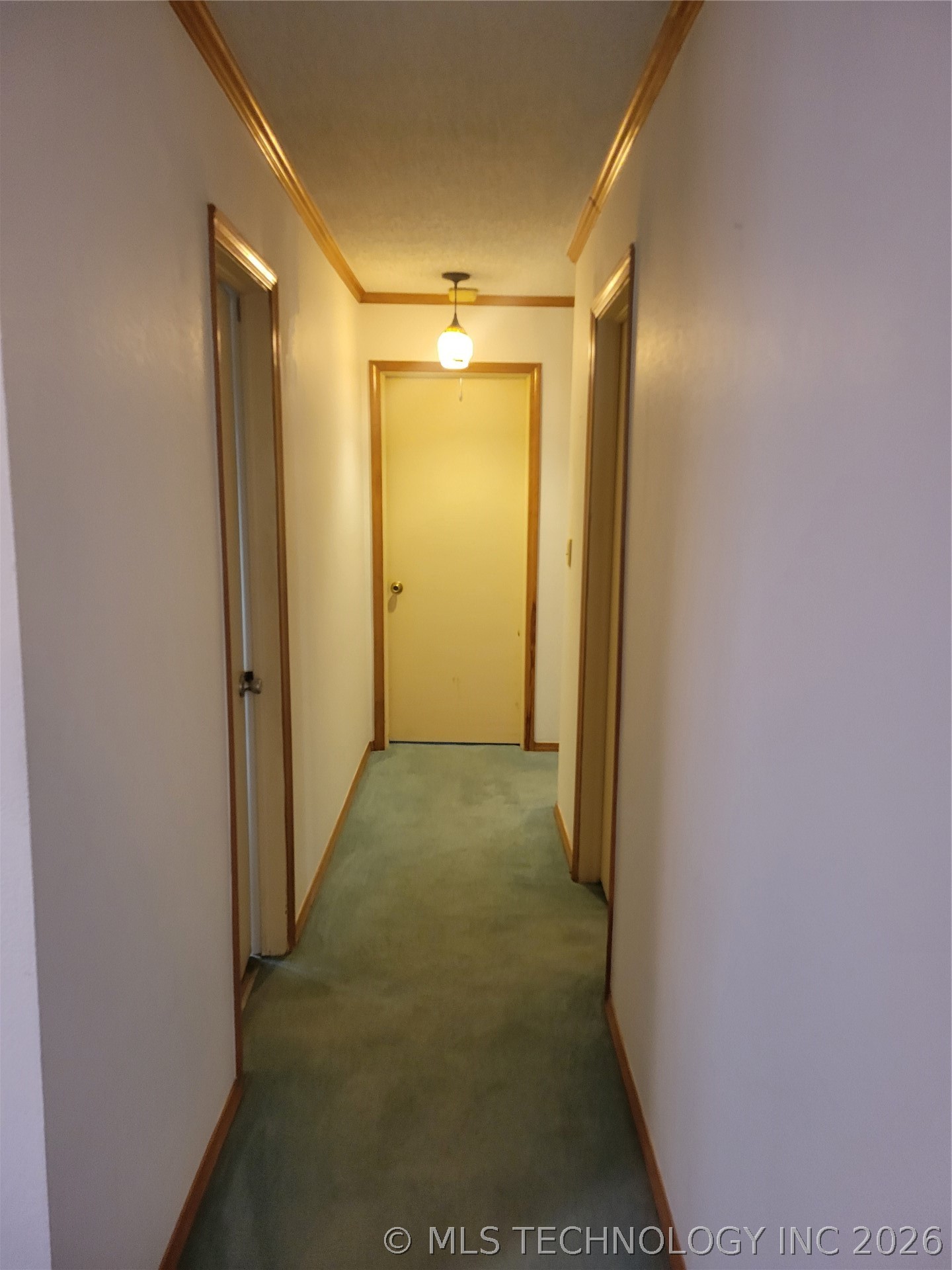 3538 S Urbana Avenue Property Photo 17