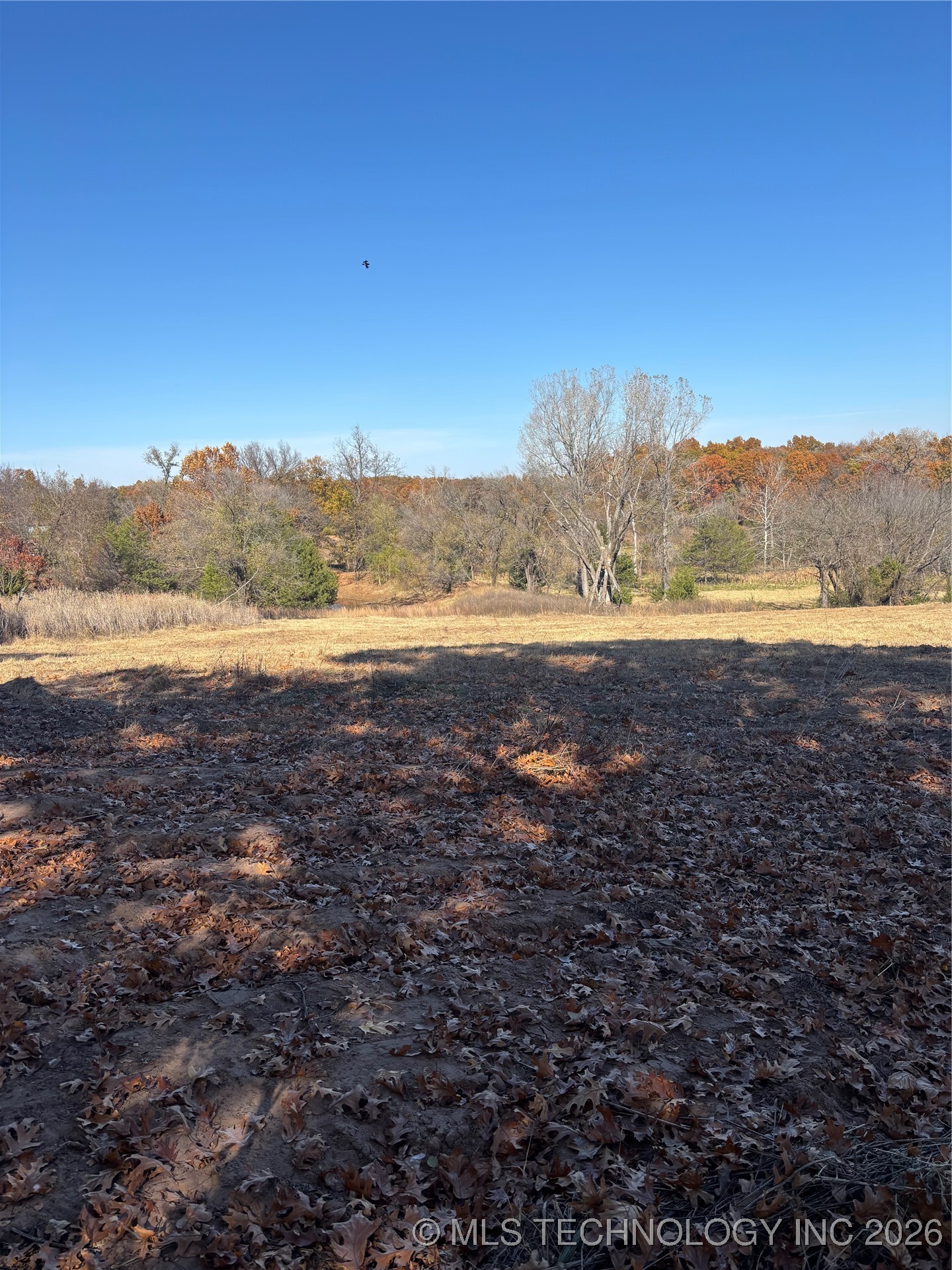 3113 S Twin Mounds Street Property Photo 10