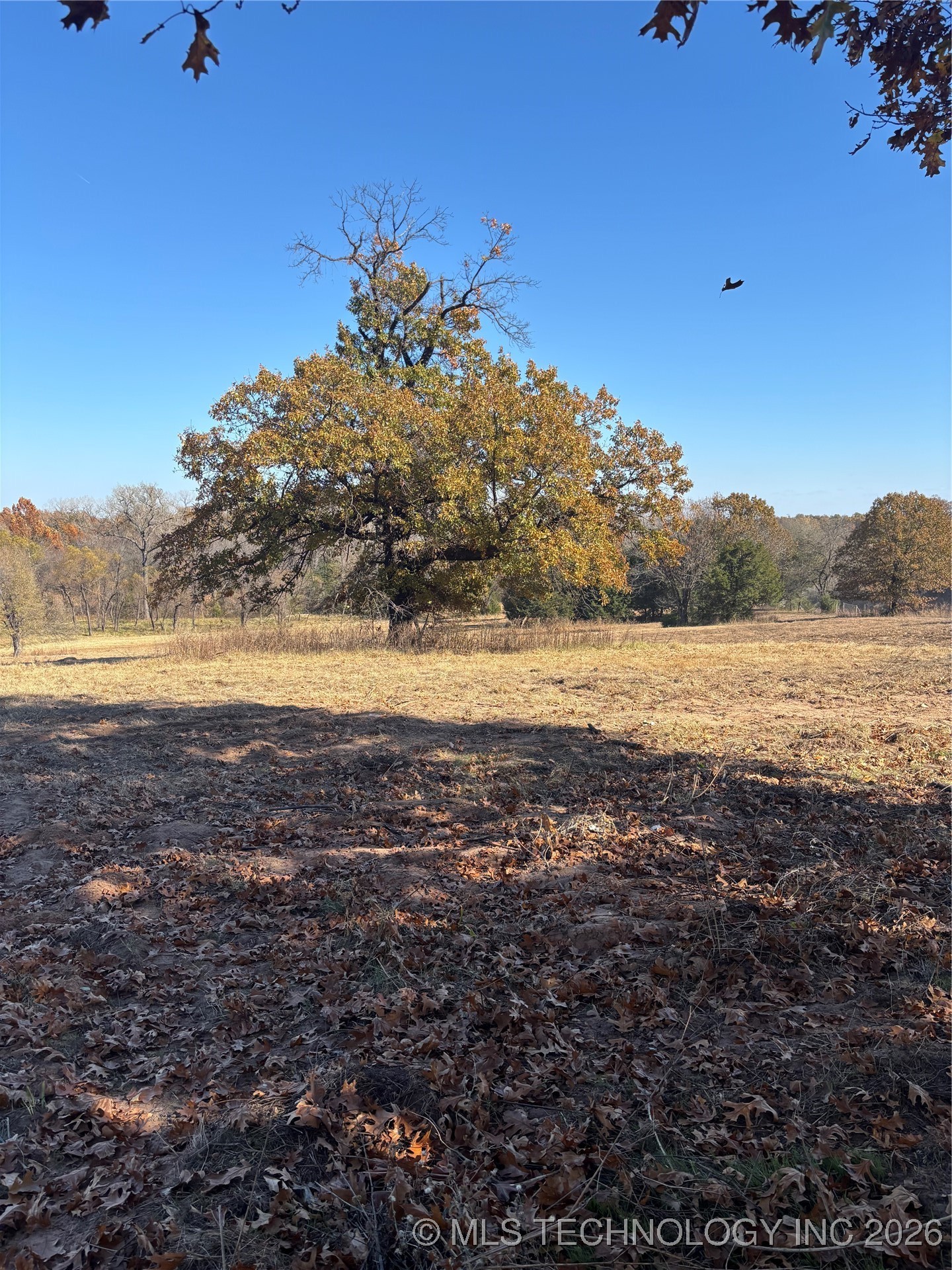 3113 S Twin Mounds Street Property Photo 11