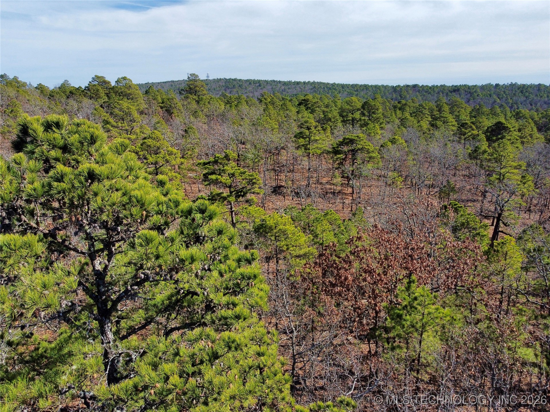 Wagon Wheel Property Photo 1